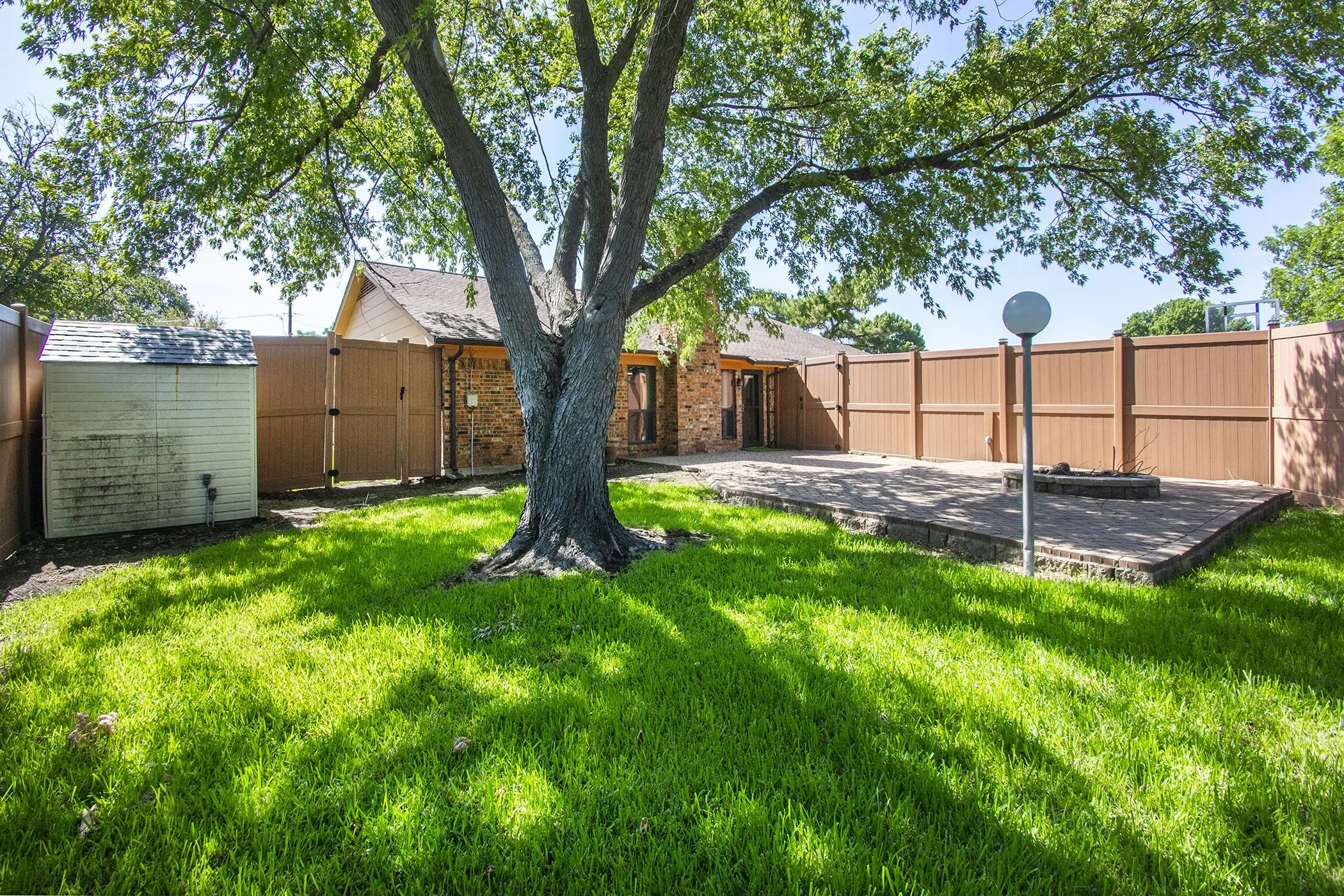 Expansive backyard featuring a mature tree, paved patio, and privacy fencing