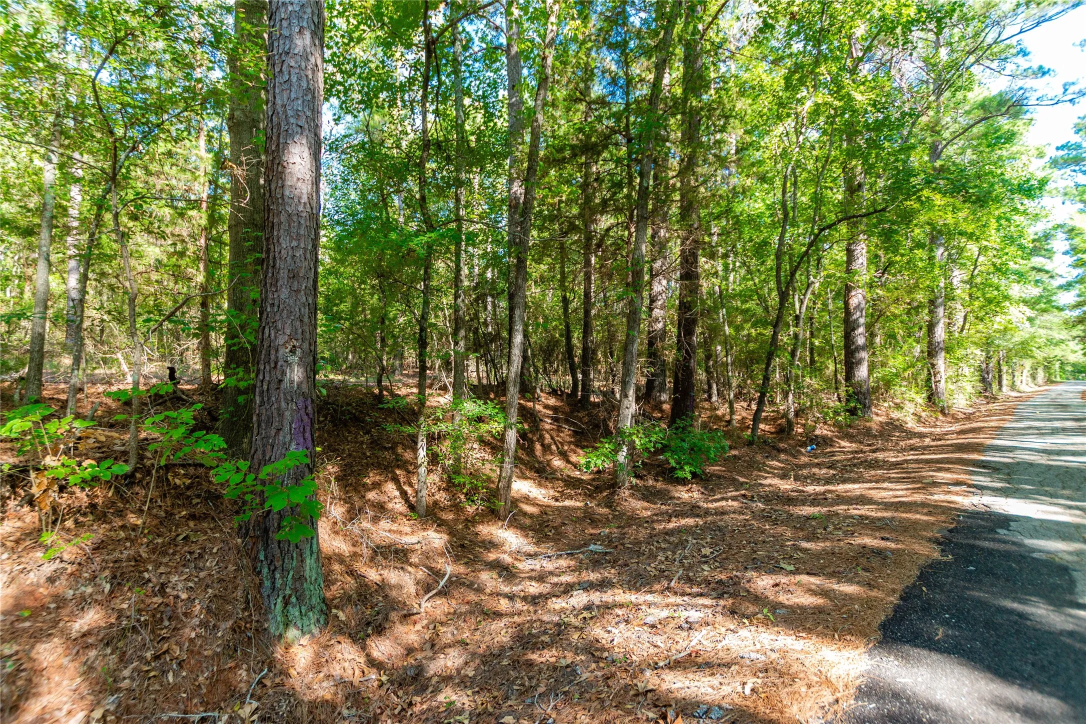 Unimproved Land For Sale in Cherokee County , TBD FM 2064 N, Troup, Texas 75789, 0, 0, Garage spaces, 0 Sqft, built in 0, mls#21387172, Real Estate Agent in Troup, Homes For Sale in Cherokee county, Homes For Sale in Troup, Realtor in Troup Texas, Real Estate Brokerage Independent Realty Texas, Luminita Cordes Realtor