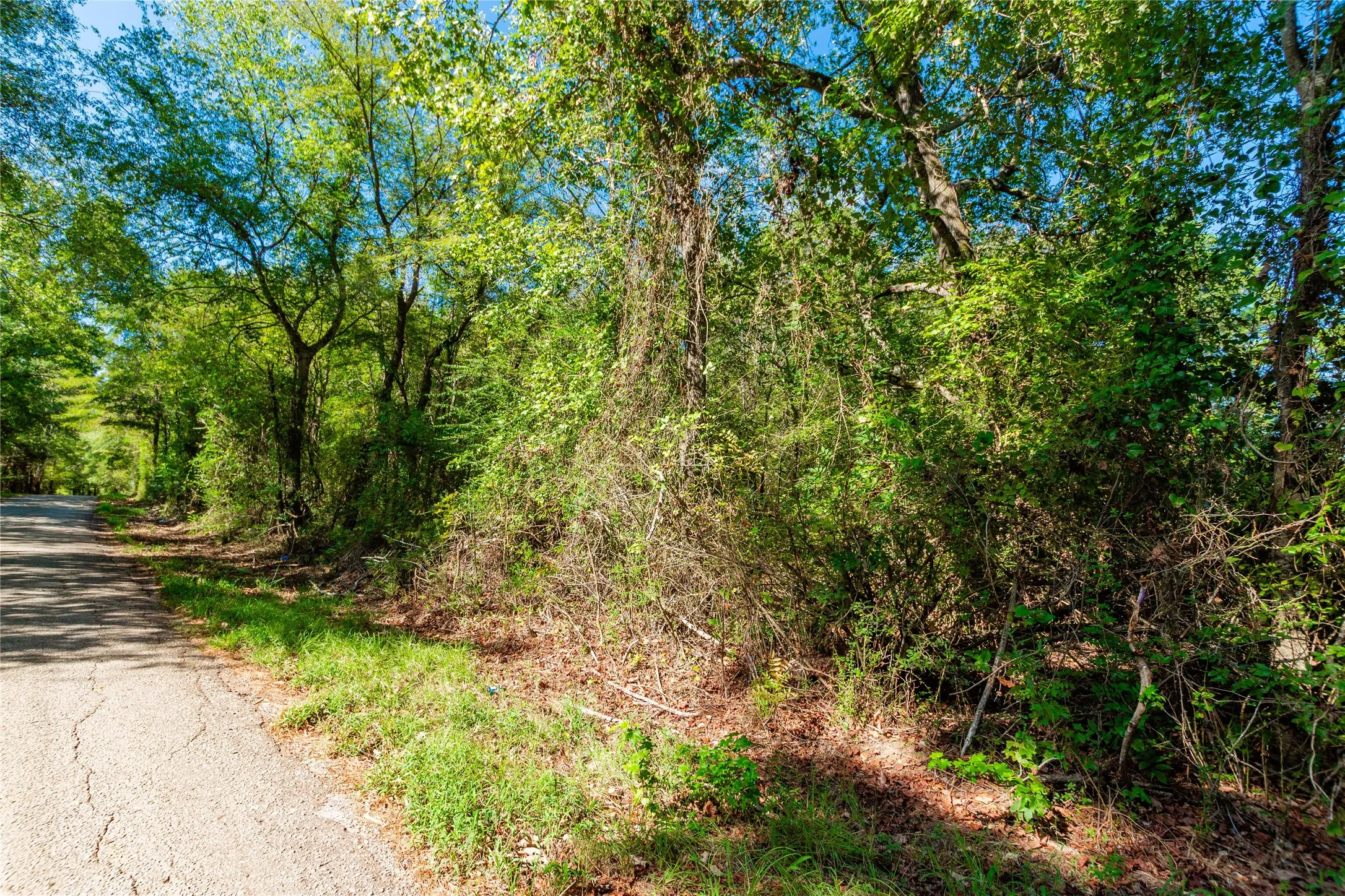 Unimproved Land For Sale in Cherokee County , TBD FM 2064 N, Troup, Texas 75789, 0, 0, Garage spaces, 0 Sqft, built in 0, mls#21387172, Real Estate Agent in Troup, Homes For Sale in Cherokee county, Homes For Sale in Troup, Realtor in Troup Texas, Real Estate Brokerage Independent Realty Texas, Luminita Cordes Realtor