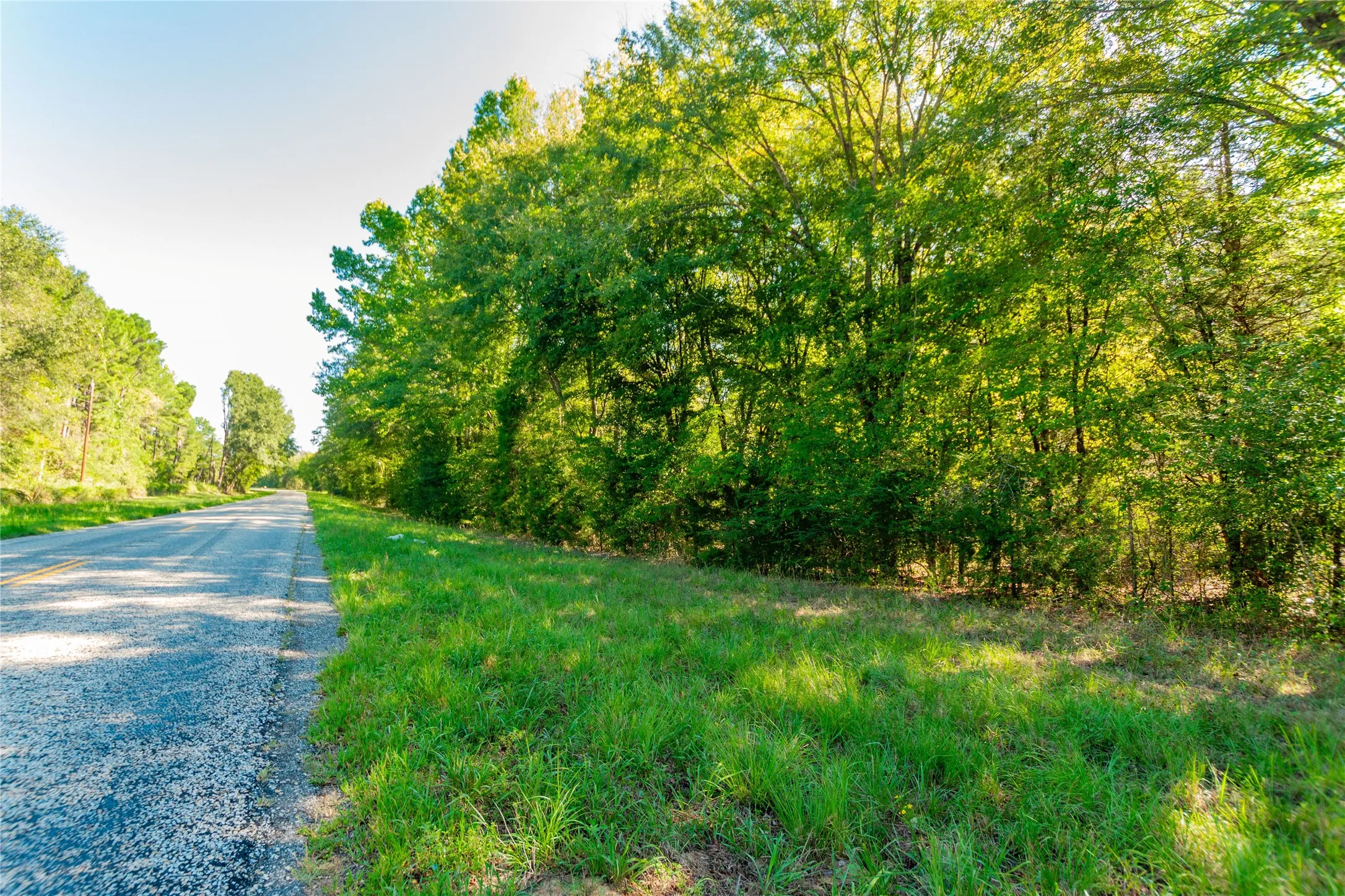 Unimproved Land For Sale in Cherokee County , TBD FM 2064 N, Troup, Texas 75789, 0, 0, Garage spaces, 0 Sqft, built in 0, mls#21387172, Real Estate Agent in Troup, Homes For Sale in Cherokee county, Homes For Sale in Troup, Realtor in Troup Texas, Real Estate Brokerage Independent Realty Texas, Luminita Cordes Realtor