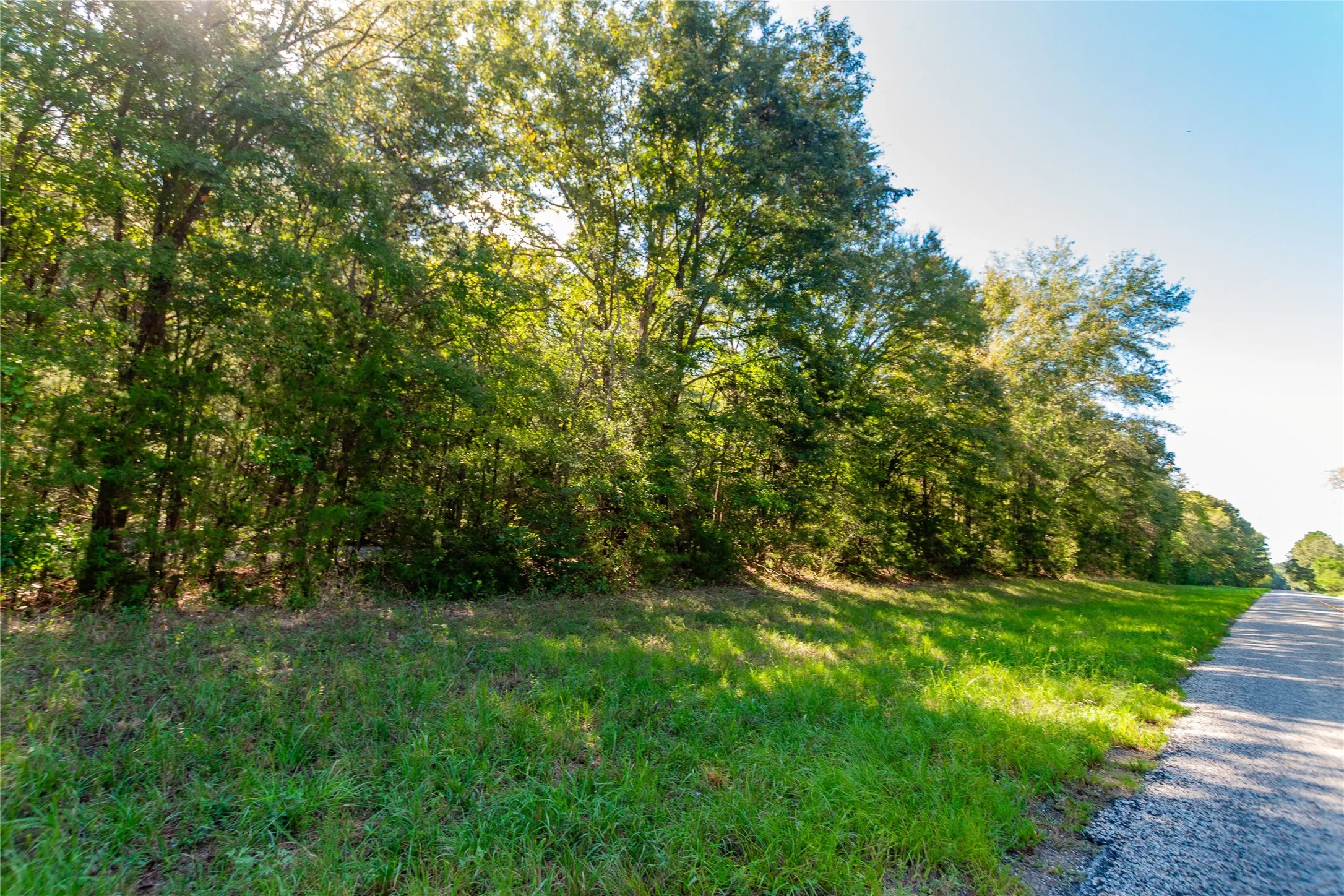 Unimproved Land For Sale in Cherokee County , TBD FM 2064 N, Troup, Texas 75789, 0, 0, Garage spaces, 0 Sqft, built in 0, mls#21387172, Real Estate Agent in Troup, Homes For Sale in Cherokee county, Homes For Sale in Troup, Realtor in Troup Texas, Real Estate Brokerage Independent Realty Texas, Luminita Cordes Realtor