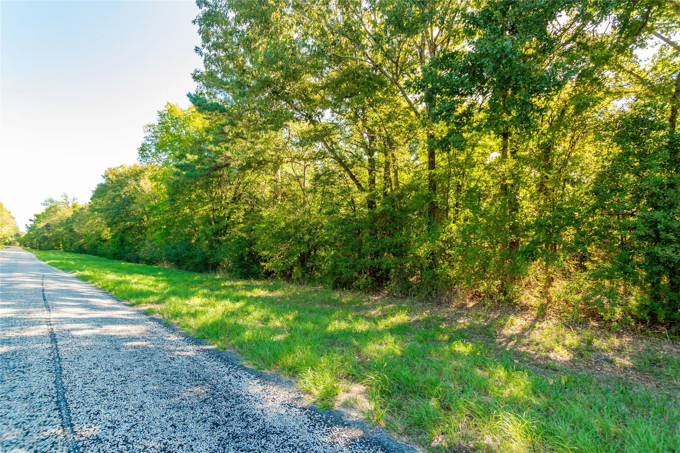 Unimproved Land For Sale in Cherokee County , TBD FM 2064 N, Troup, Texas 75789, 0, 0, Garage spaces, 0 Sqft, built in 0, mls#21387172, Real Estate Agent in Troup, Homes For Sale in Cherokee county, Homes For Sale in Troup, Realtor in Troup Texas, Real Estate Brokerage Independent Realty Texas, Luminita Cordes Realtor