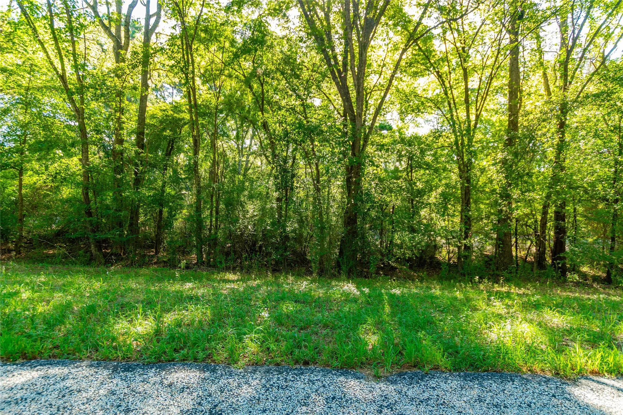 Unimproved Land For Sale in Cherokee County , TBD FM 2064 N, Troup, Texas 75789, 0, 0, Garage spaces, 0 Sqft, built in 0, mls#21387172, Real Estate Agent in Troup, Homes For Sale in Cherokee county, Homes For Sale in Troup, Realtor in Troup Texas, Real Estate Brokerage Independent Realty Texas, Luminita Cordes Realtor