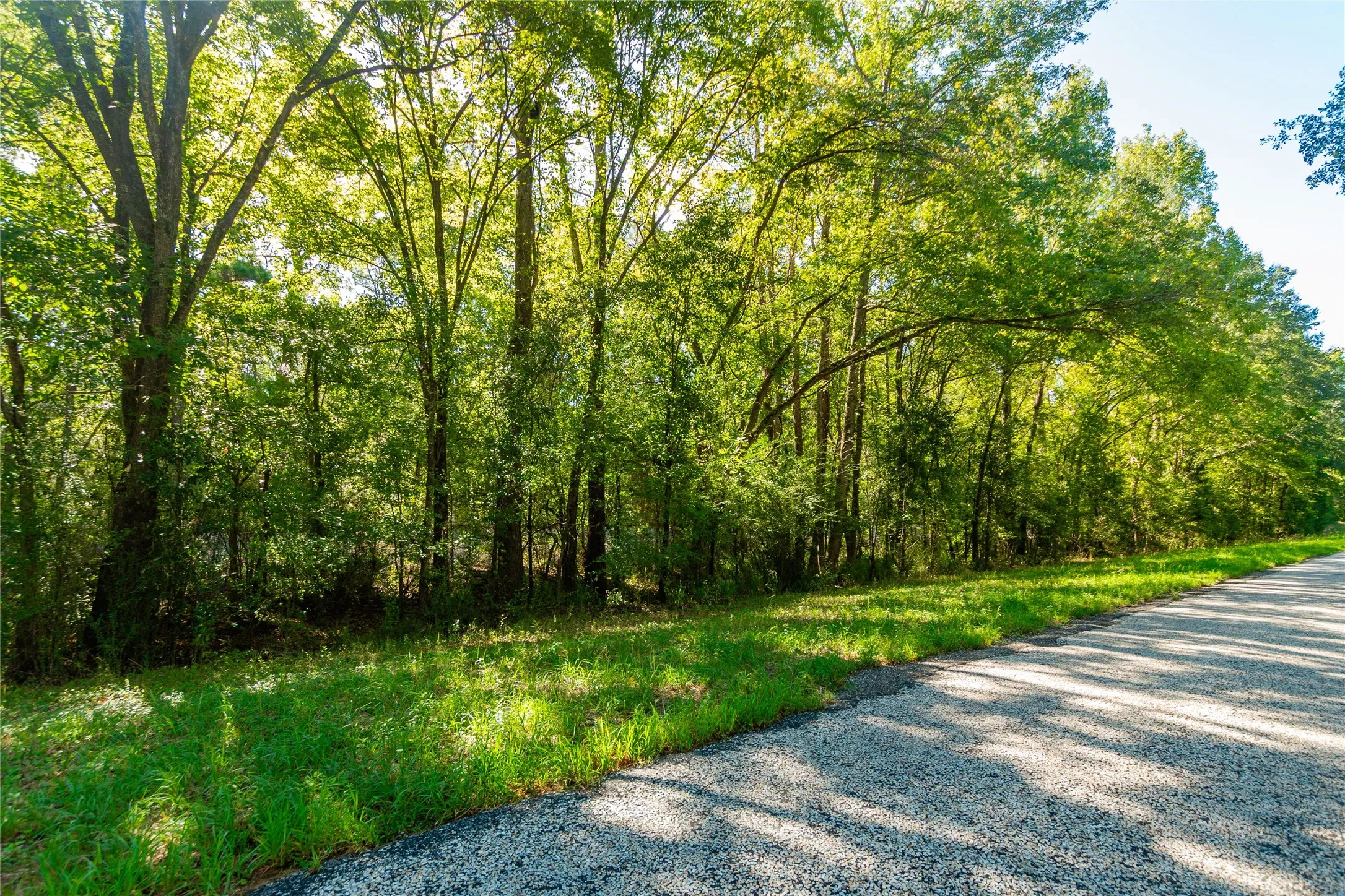 Unimproved Land For Sale in Cherokee County , TBD FM 2064 N, Troup, Texas 75789, 0, 0, Garage spaces, 0 Sqft, built in 0, mls#21387172, Real Estate Agent in Troup, Homes For Sale in Cherokee county, Homes For Sale in Troup, Realtor in Troup Texas, Real Estate Brokerage Independent Realty Texas, Luminita Cordes Realtor
