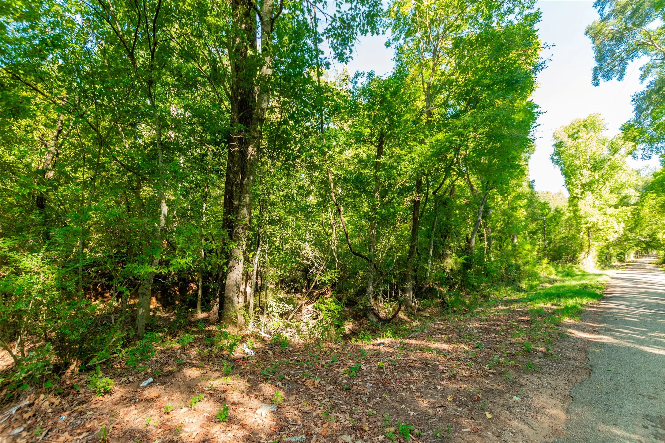 Unimproved Land For Sale in Cherokee County , TBD FM 2064 N, Troup, Texas 75789, 0, 0, Garage spaces, 0 Sqft, built in 0, mls#21387172, Real Estate Agent in Troup, Homes For Sale in Cherokee county, Homes For Sale in Troup, Realtor in Troup Texas, Real Estate Brokerage Independent Realty Texas, Luminita Cordes Realtor