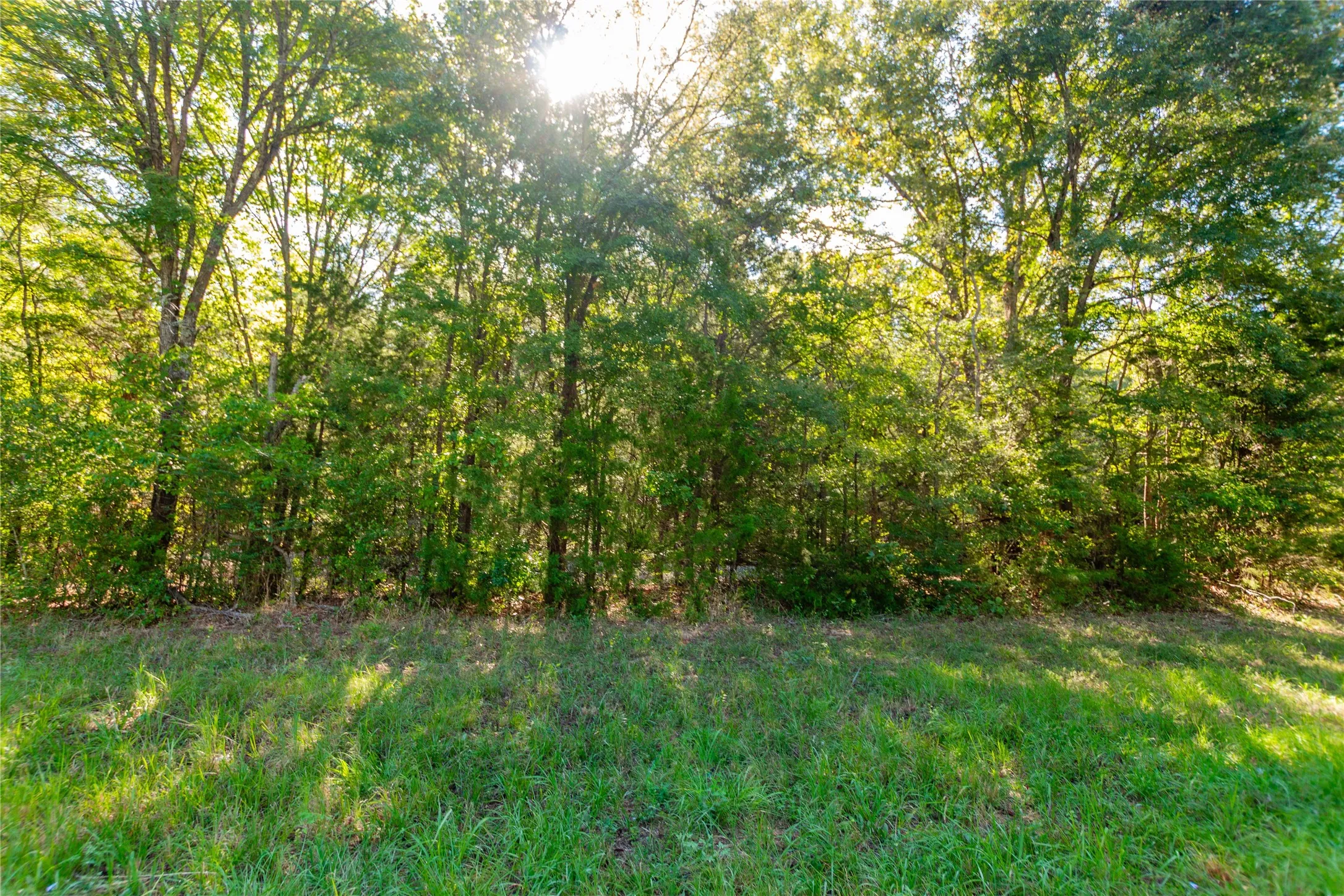 Unimproved Land For Sale in Cherokee County , TBD FM 2064 N, Troup, Texas 75789, 0, 0, Garage spaces, 0 Sqft, built in 0, mls#21387172, Real Estate Agent in Troup, Homes For Sale in Cherokee county, Homes For Sale in Troup, Realtor in Troup Texas, Real Estate Brokerage Independent Realty Texas, Luminita Cordes Realtor