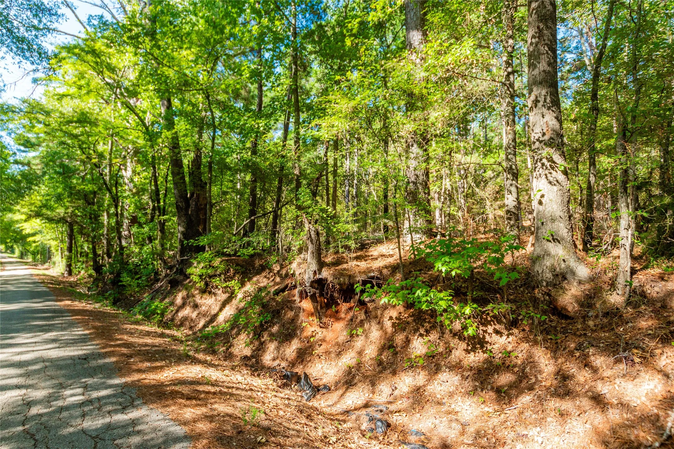 Unimproved Land For Sale in Cherokee County , TBD FM 2064 N, Troup, Texas 75789, 0, 0, Garage spaces, 0 Sqft, built in 0, mls#21387172, Real Estate Agent in Troup, Homes For Sale in Cherokee county, Homes For Sale in Troup, Realtor in Troup Texas, Real Estate Brokerage Independent Realty Texas, Luminita Cordes Realtor