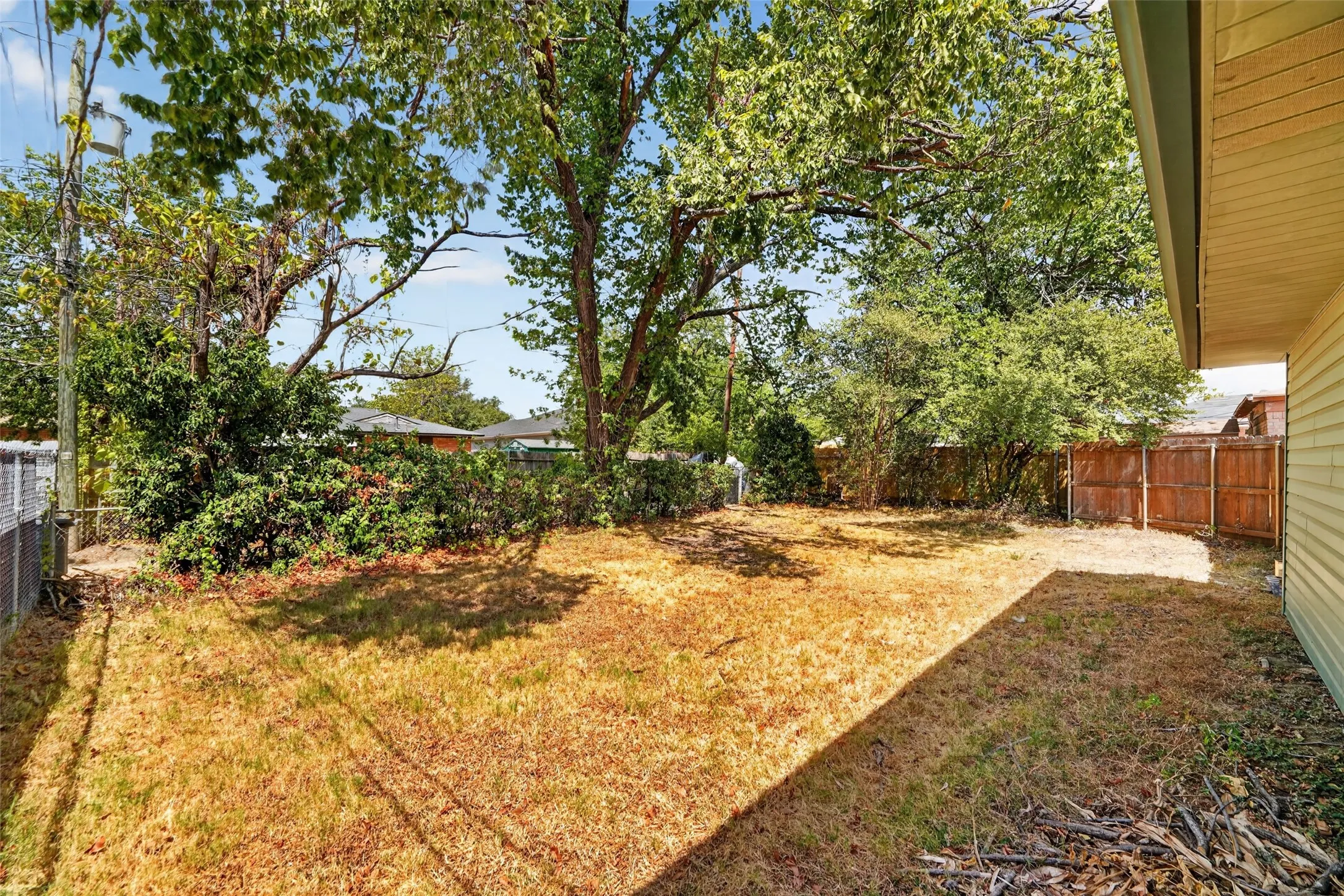 Backyard