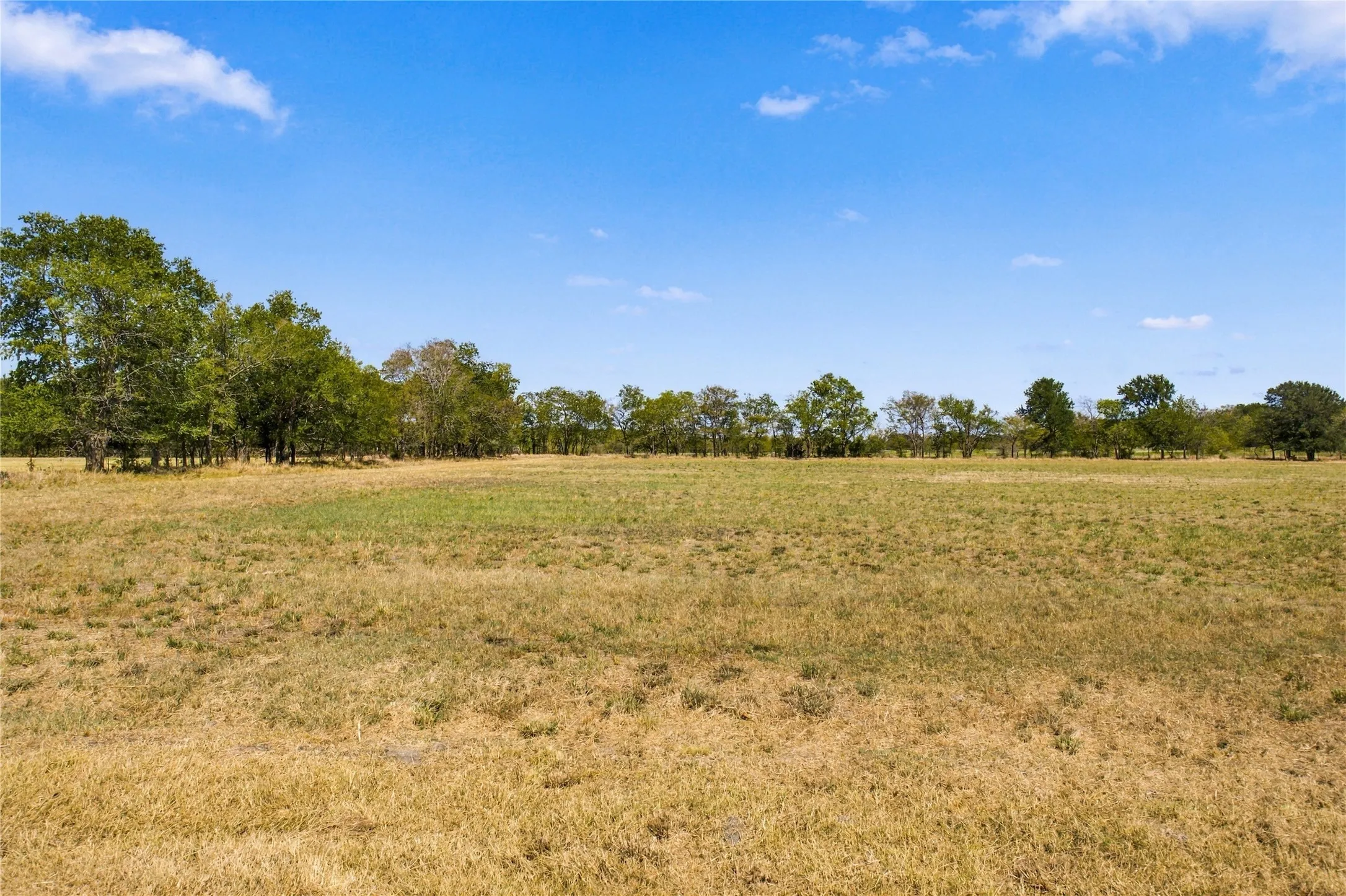 Unimproved Land For Sale in Delta County , 1000 County Road 2120, Cooper, Texas 75432, 0, 0, Garage spaces, 0 Sqft, built in 0, mls#21387213, Real Estate Agent in Cooper, Homes For Sale in Delta county, Homes For Sale in Cooper, Realtor in Cooper Texas, Real Estate Brokerage Independent Realty Texas, Luminita Cordes Realtor