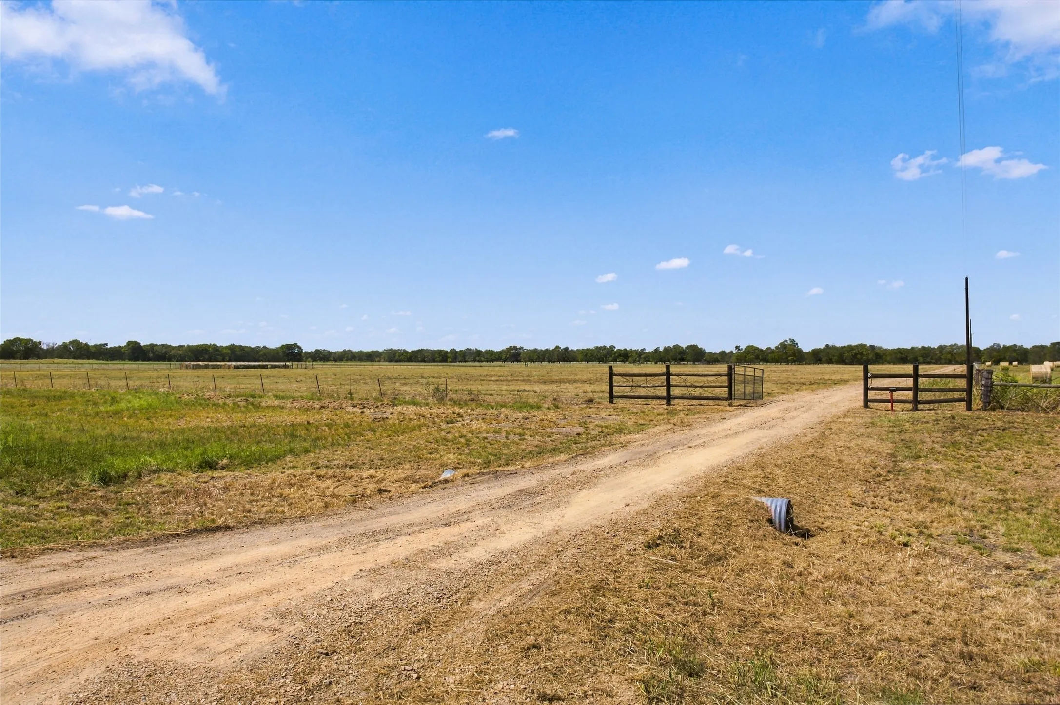 Unimproved Land For Sale in Delta County , 1000 County Road 2120, Cooper, Texas 75432, 0, 0, Garage spaces, 0 Sqft, built in 0, mls#21387213, Real Estate Agent in Cooper, Homes For Sale in Delta county, Homes For Sale in Cooper, Realtor in Cooper Texas, Real Estate Brokerage Independent Realty Texas, Luminita Cordes Realtor