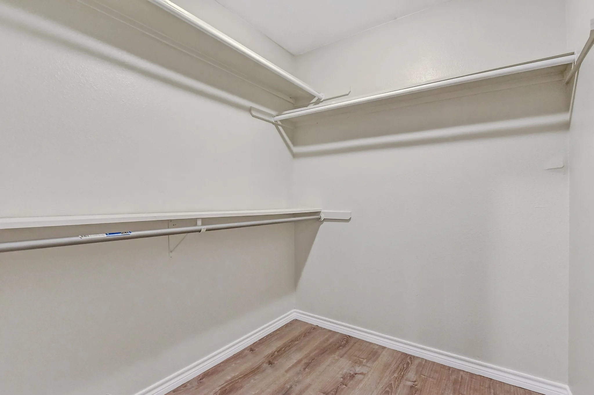 Spacious closet featuring light wood-style floors