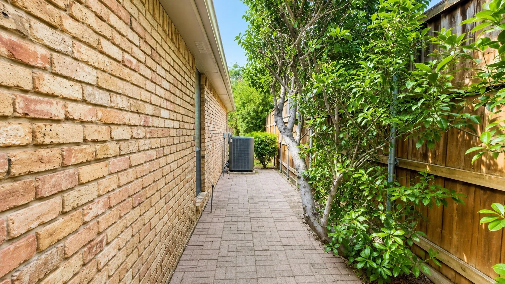Side yard