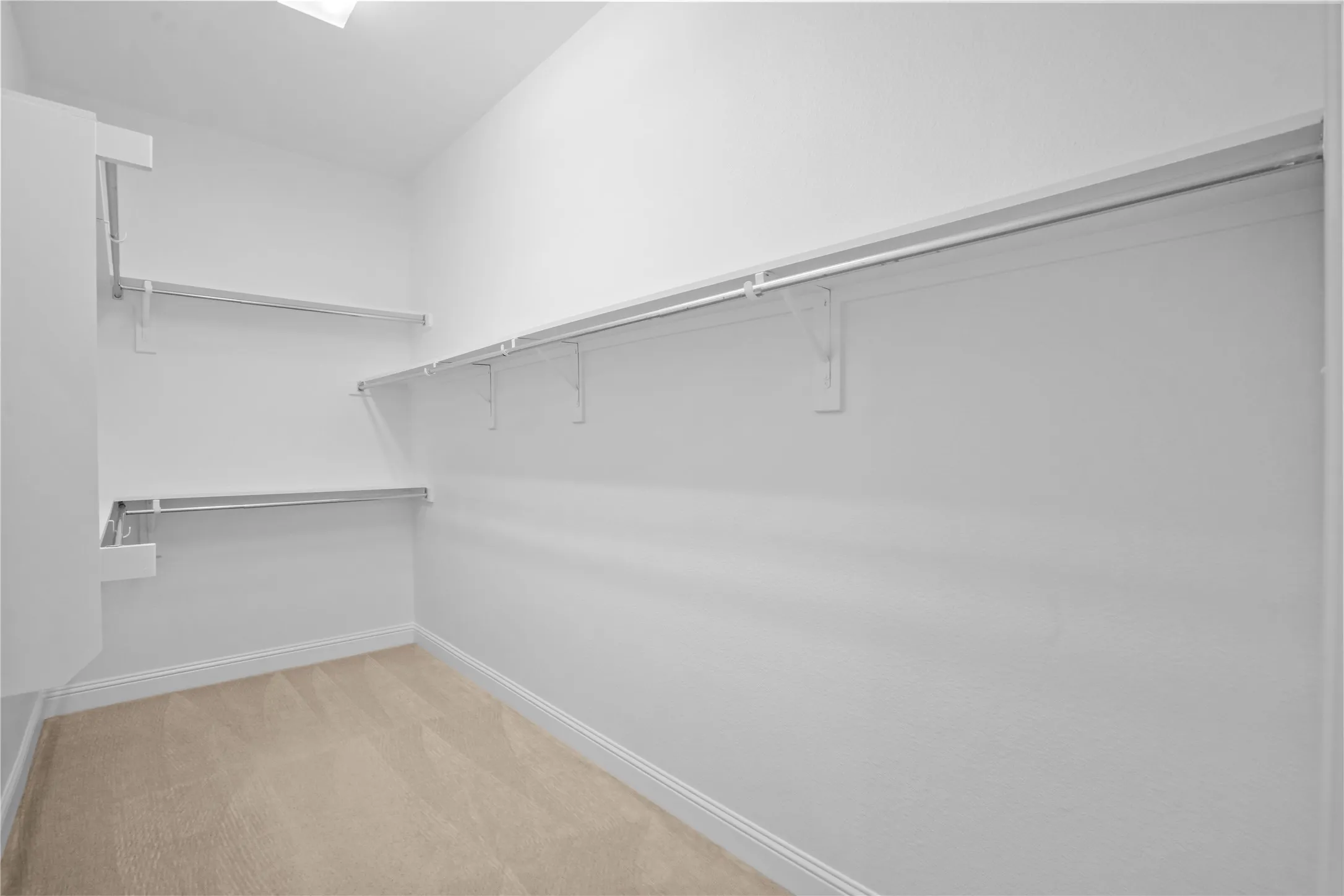 Walk-in closet featuring light-toned carpet, white walls, and built-in shelving with hanging rods