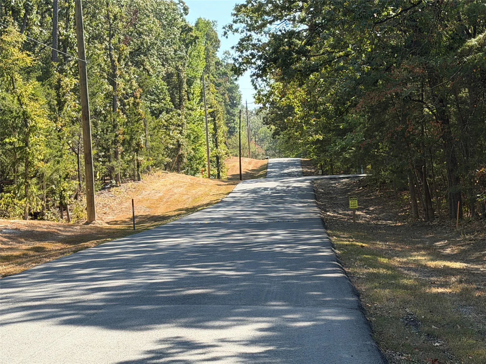 Unimproved Land For Sale in Franklin (TX) County , Lot 32 Whispering Pine Trail, Mount Vernon, Texas 75457, 0, 0, Garage spaces, 0 Sqft, built in 0, mls#21387299, Real Estate Agent in Mount Vernon, Homes For Sale in Franklin (TX) county, Homes For Sale in Mount Vernon, Realtor in Mount Vernon Texas, Real Estate Brokerage Independent Realty Texas, Luminita Cordes Realtor