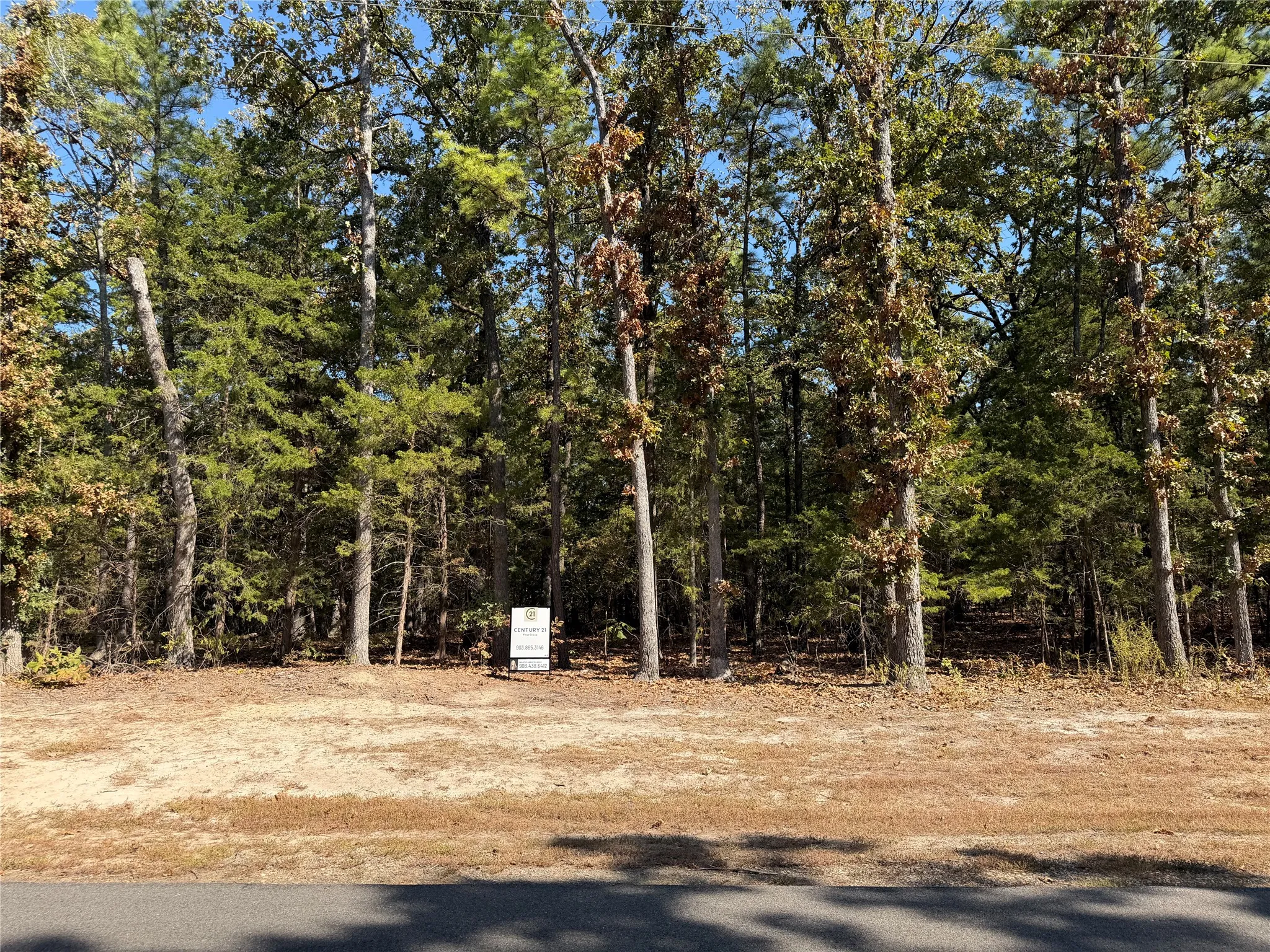Unimproved Land For Sale in Franklin (TX) County , Lot 32 Whispering Pine Trail, Mount Vernon, Texas 75457, 0, 0, Garage spaces, 0 Sqft, built in 0, mls#21387299, Real Estate Agent in Mount Vernon, Homes For Sale in Franklin (TX) county, Homes For Sale in Mount Vernon, Realtor in Mount Vernon Texas, Real Estate Brokerage Independent Realty Texas, Luminita Cordes Realtor