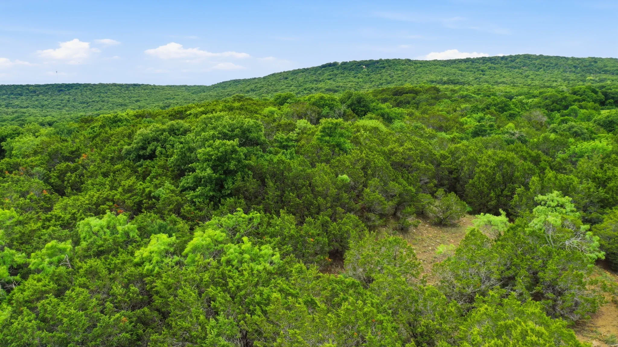 Unimproved Land For Sale in Palo Pinto County , TBD Dobbs Valley Road, Millsap, Texas 76066, 0, 0, Garage spaces, 0 Sqft, built in 0, mls#21375637, Real Estate Agent in Millsap, Homes For Sale in Palo Pinto county, Homes For Sale in Millsap, Realtor in Millsap Texas, Real Estate Brokerage Independent Realty Texas, Luminita Cordes Realtor