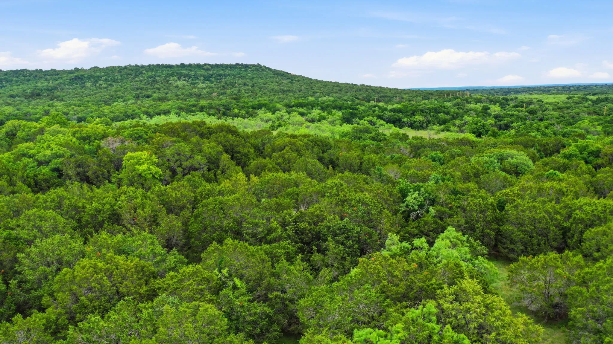 Unimproved Land For Sale in Palo Pinto County , TBD Dobbs Valley Road, Millsap, Texas 76066, 0, 0, Garage spaces, 0 Sqft, built in 0, mls#21375637, Real Estate Agent in Millsap, Homes For Sale in Palo Pinto county, Homes For Sale in Millsap, Realtor in Millsap Texas, Real Estate Brokerage Independent Realty Texas, Luminita Cordes Realtor