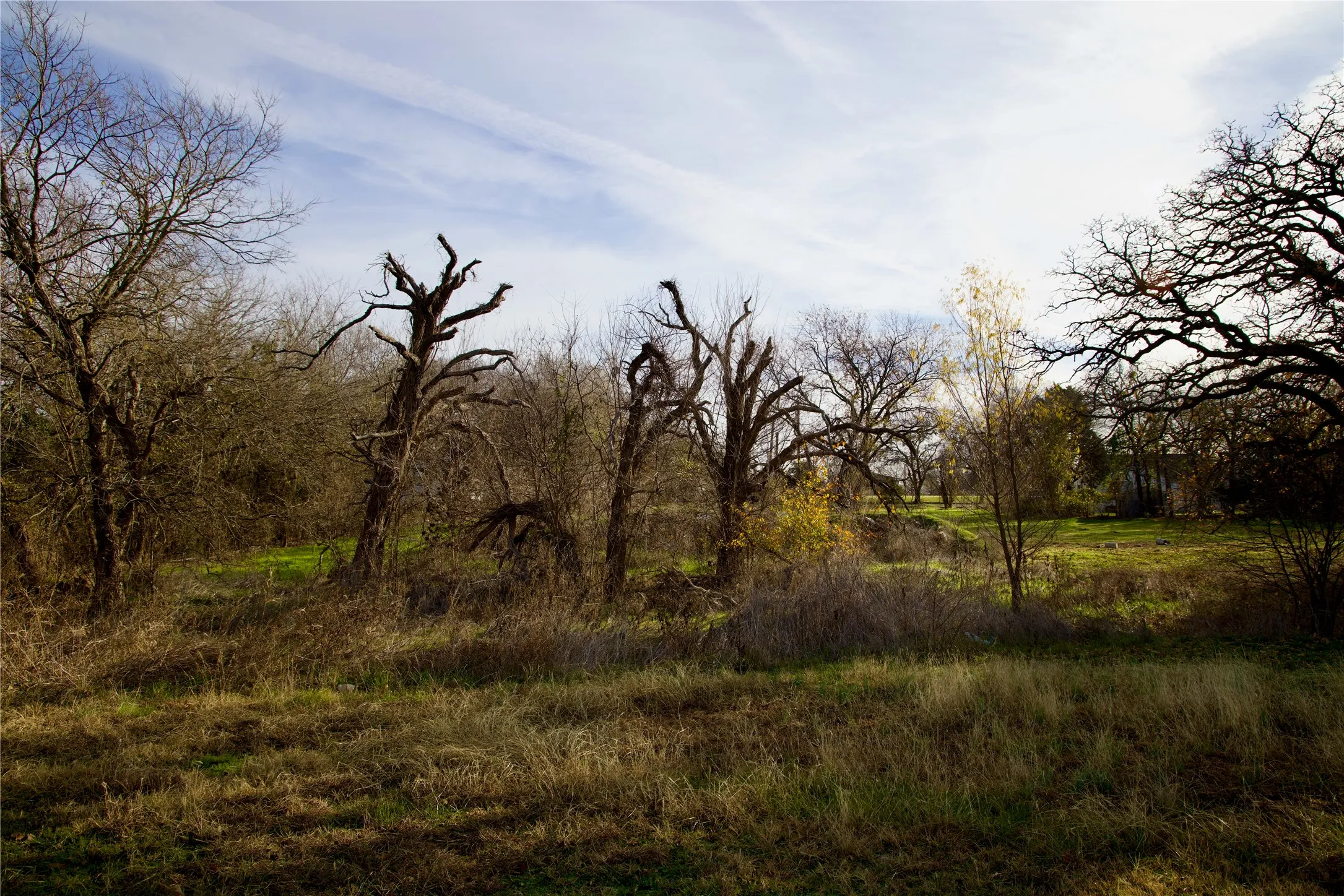 Unimproved Land For Sale in Wise County , 111 N Stadium Drive, Alvord, Texas 76225, 0, 0, Garage spaces, 0 Sqft, built in 0, mls#21387312, Real Estate Agent in Alvord, Homes For Sale in Wise county, Homes For Sale in Alvord, Realtor in Alvord Texas, Real Estate Brokerage Independent Realty Texas, Luminita Cordes Realtor