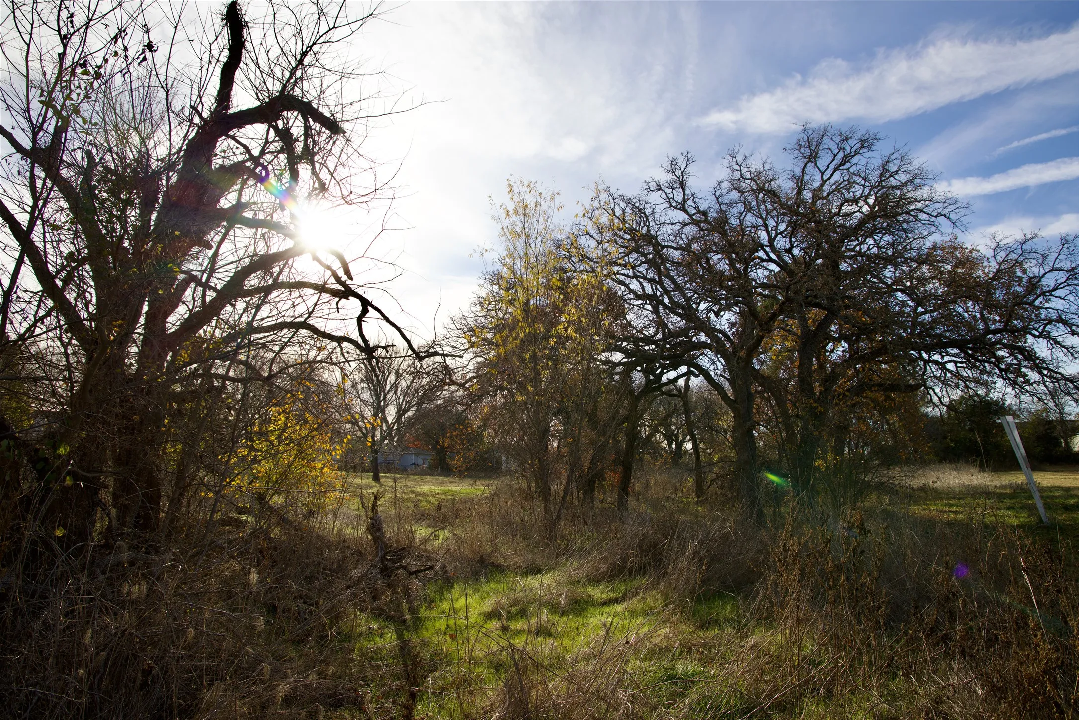 Unimproved Land For Sale in Wise County , 111 N Stadium Drive, Alvord, Texas 76225, 0, 0, Garage spaces, 0 Sqft, built in 0, mls#21387312, Real Estate Agent in Alvord, Homes For Sale in Wise county, Homes For Sale in Alvord, Realtor in Alvord Texas, Real Estate Brokerage Independent Realty Texas, Luminita Cordes Realtor