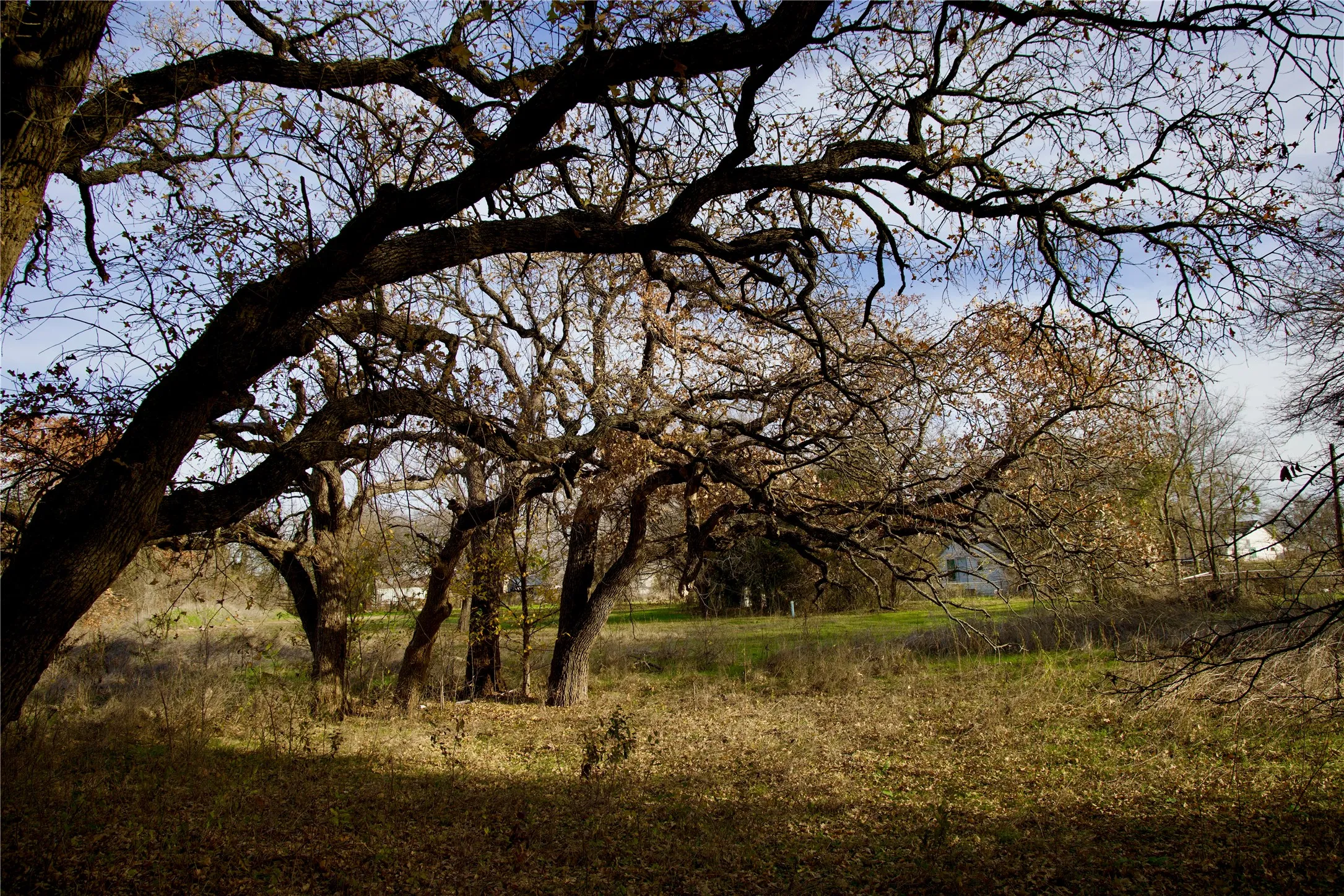 Unimproved Land For Sale in Wise County , 111 N Stadium Drive, Alvord, Texas 76225, 0, 0, Garage spaces, 0 Sqft, built in 0, mls#21387312, Real Estate Agent in Alvord, Homes For Sale in Wise county, Homes For Sale in Alvord, Realtor in Alvord Texas, Real Estate Brokerage Independent Realty Texas, Luminita Cordes Realtor