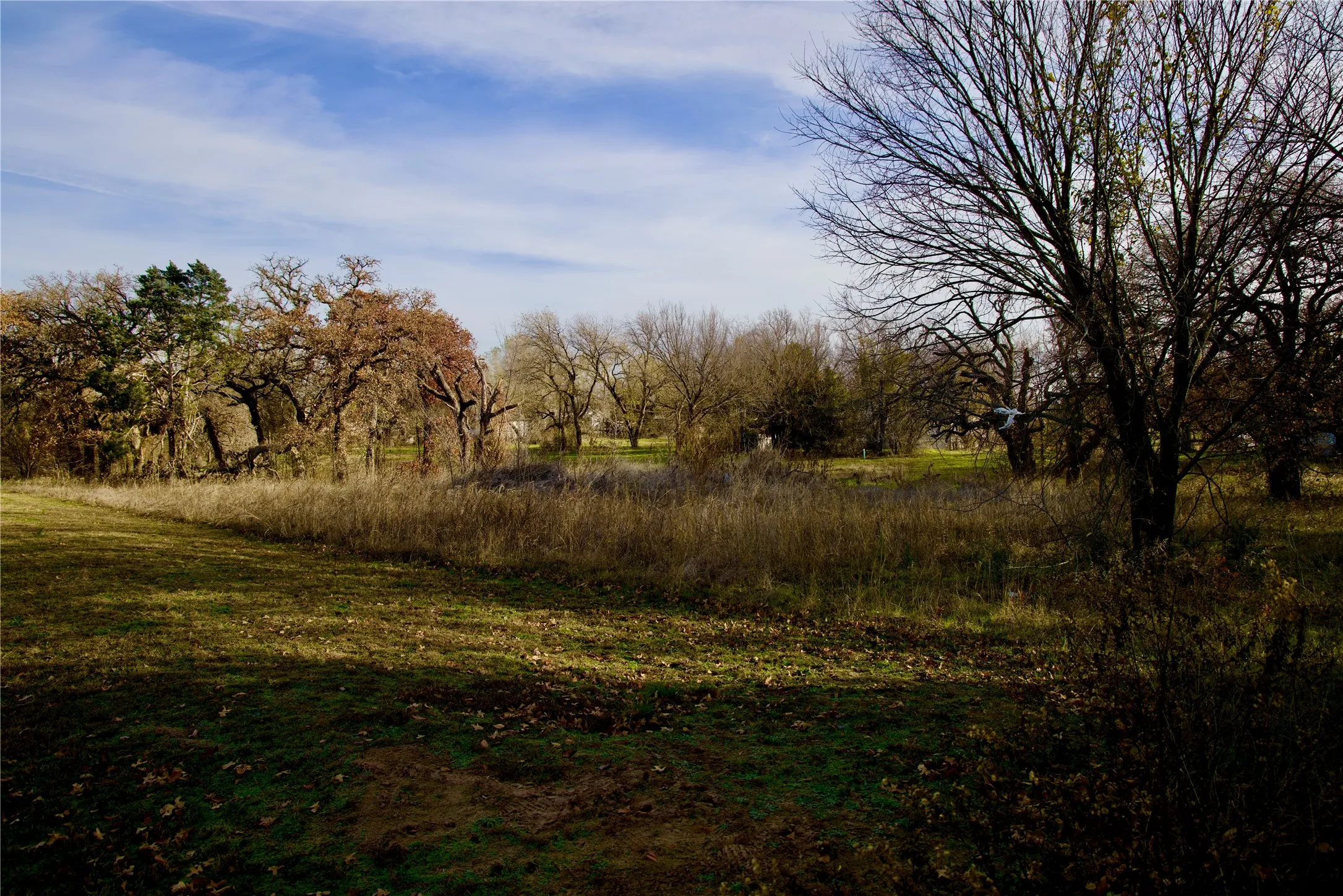 Unimproved Land For Sale in Wise County , 111 N Stadium Drive, Alvord, Texas 76225, 0, 0, Garage spaces, 0 Sqft, built in 0, mls#21387312, Real Estate Agent in Alvord, Homes For Sale in Wise county, Homes For Sale in Alvord, Realtor in Alvord Texas, Real Estate Brokerage Independent Realty Texas, Luminita Cordes Realtor