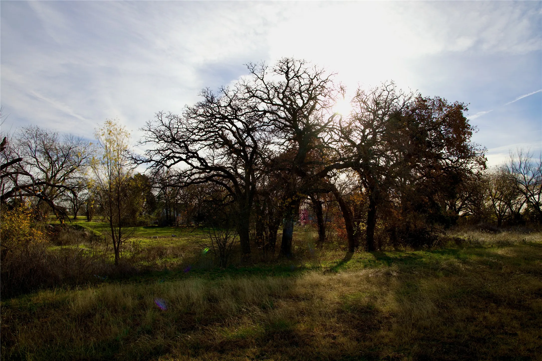 Unimproved Land For Sale in Wise County , 111 N Stadium Drive, Alvord, Texas 76225, 0, 0, Garage spaces, 0 Sqft, built in 0, mls#21387312, Real Estate Agent in Alvord, Homes For Sale in Wise county, Homes For Sale in Alvord, Realtor in Alvord Texas, Real Estate Brokerage Independent Realty Texas, Luminita Cordes Realtor