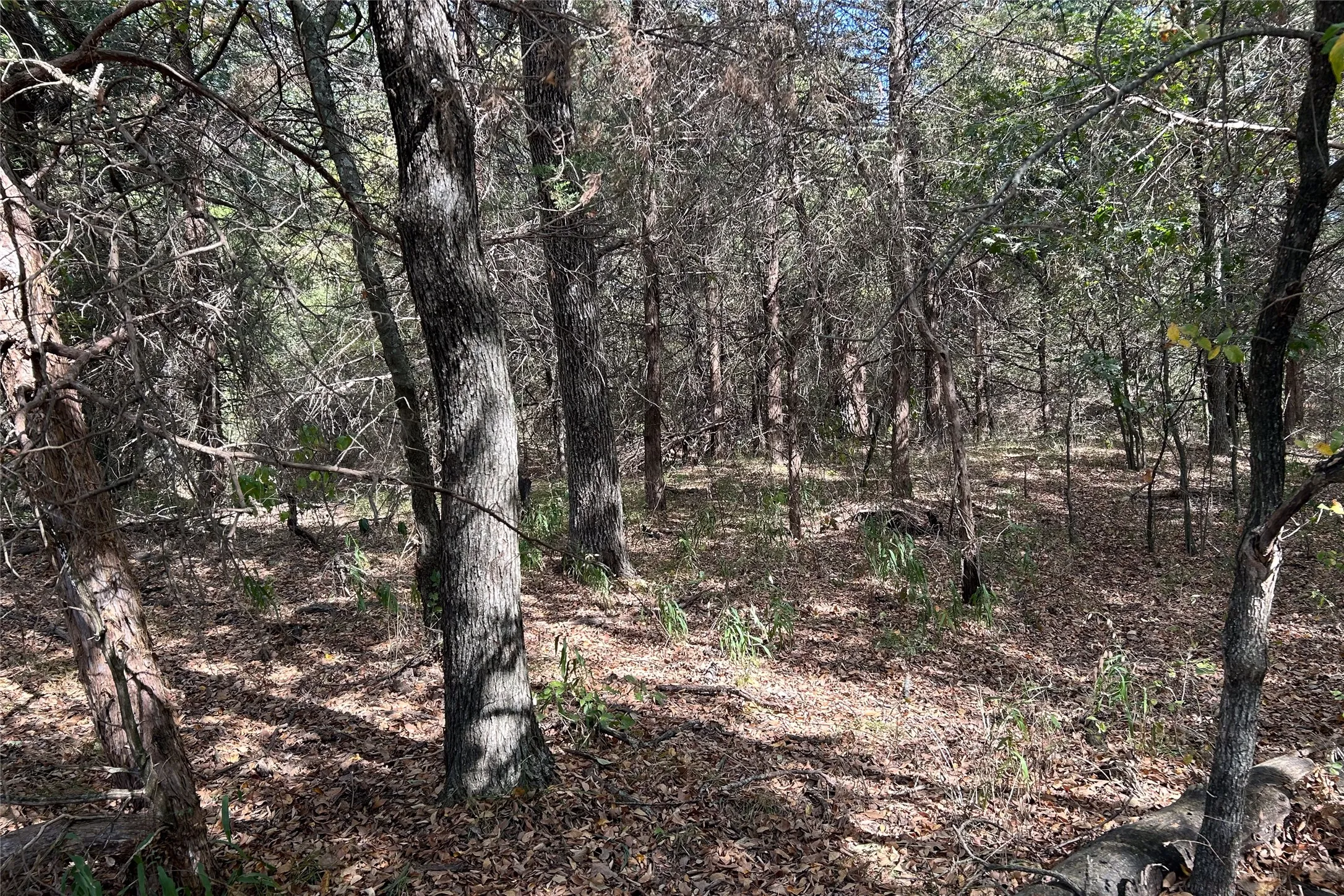 Ranch For Sale in Cooke County , TBD8 County Road 141, Callisburg, Texas 76240, 0, 0, Garage spaces, 0 Sqft, built in 0, mls#21387324, Real Estate Agent in Callisburg, Homes For Sale in Cooke county, Homes For Sale in Callisburg, Realtor in Callisburg Texas, Real Estate Brokerage Independent Realty Texas, Luminita Cordes Realtor