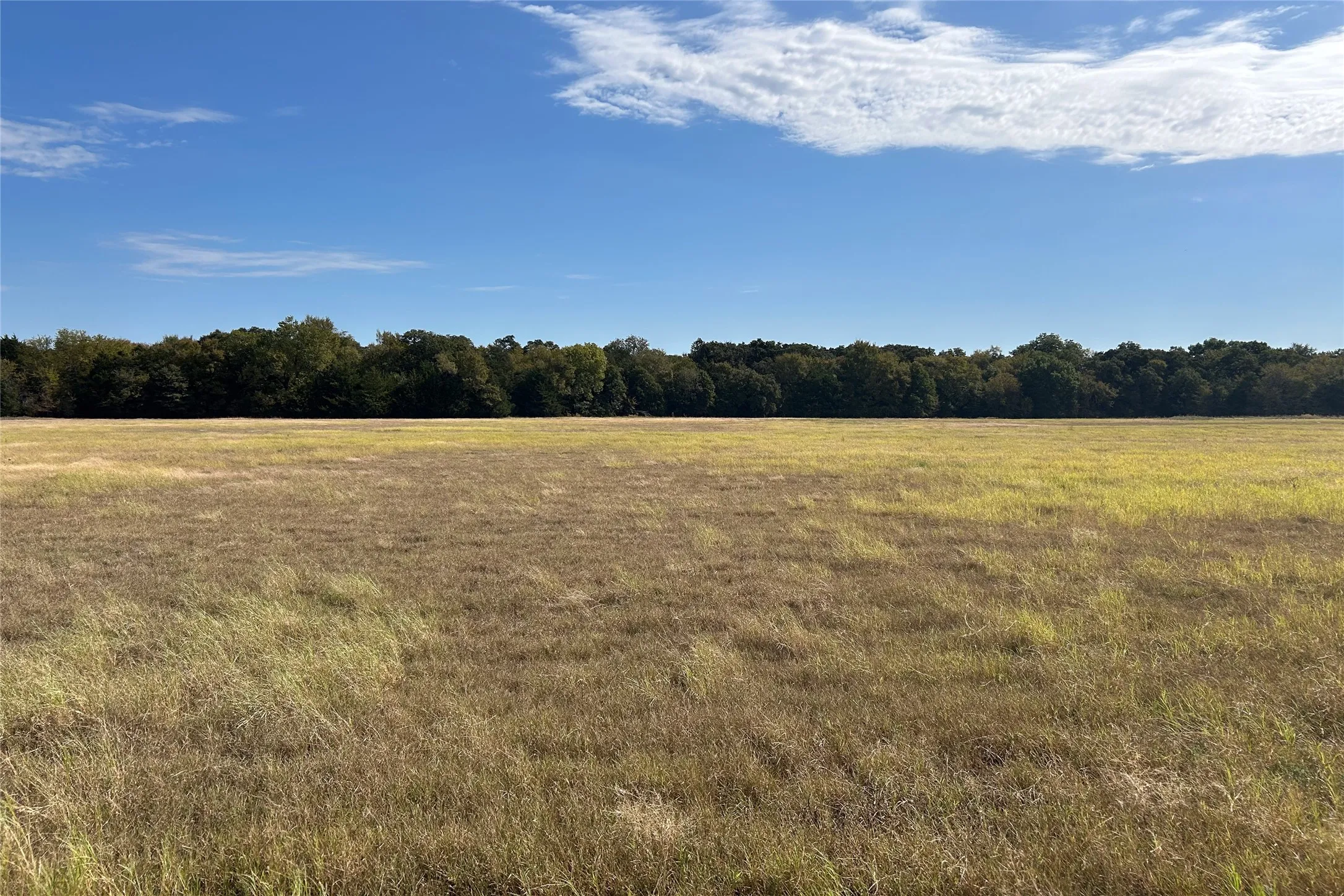 Ranch For Sale in Cooke County , TBD8 County Road 141, Callisburg, Texas 76240, 0, 0, Garage spaces, 0 Sqft, built in 0, mls#21387324, Real Estate Agent in Callisburg, Homes For Sale in Cooke county, Homes For Sale in Callisburg, Realtor in Callisburg Texas, Real Estate Brokerage Independent Realty Texas, Luminita Cordes Realtor
