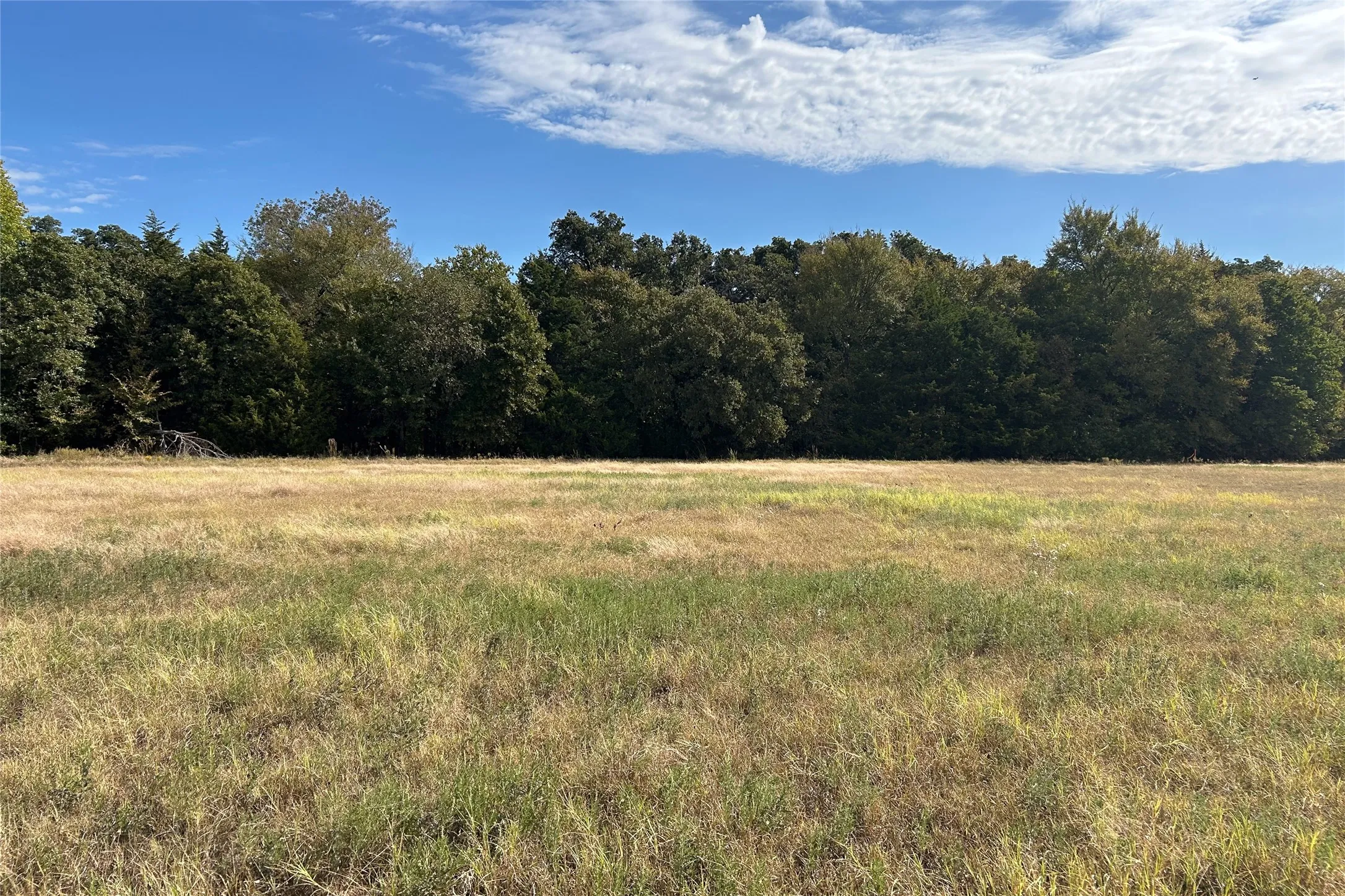 Ranch For Sale in Cooke County , TBD8 County Road 141, Callisburg, Texas 76240, 0, 0, Garage spaces, 0 Sqft, built in 0, mls#21387324, Real Estate Agent in Callisburg, Homes For Sale in Cooke county, Homes For Sale in Callisburg, Realtor in Callisburg Texas, Real Estate Brokerage Independent Realty Texas, Luminita Cordes Realtor