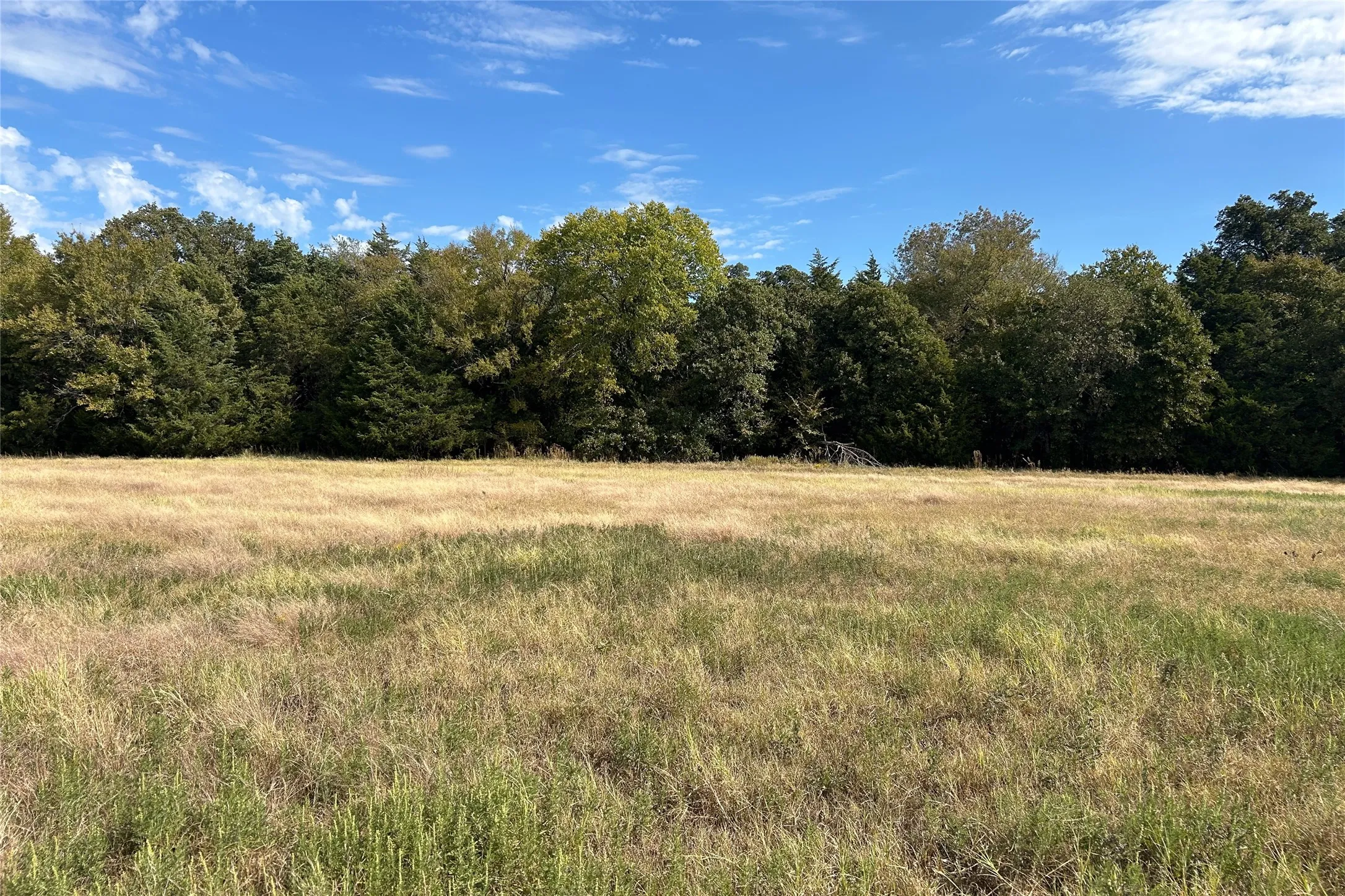 Ranch For Sale in Cooke County , TBD8 County Road 141, Callisburg, Texas 76240, 0, 0, Garage spaces, 0 Sqft, built in 0, mls#21387324, Real Estate Agent in Callisburg, Homes For Sale in Cooke county, Homes For Sale in Callisburg, Realtor in Callisburg Texas, Real Estate Brokerage Independent Realty Texas, Luminita Cordes Realtor