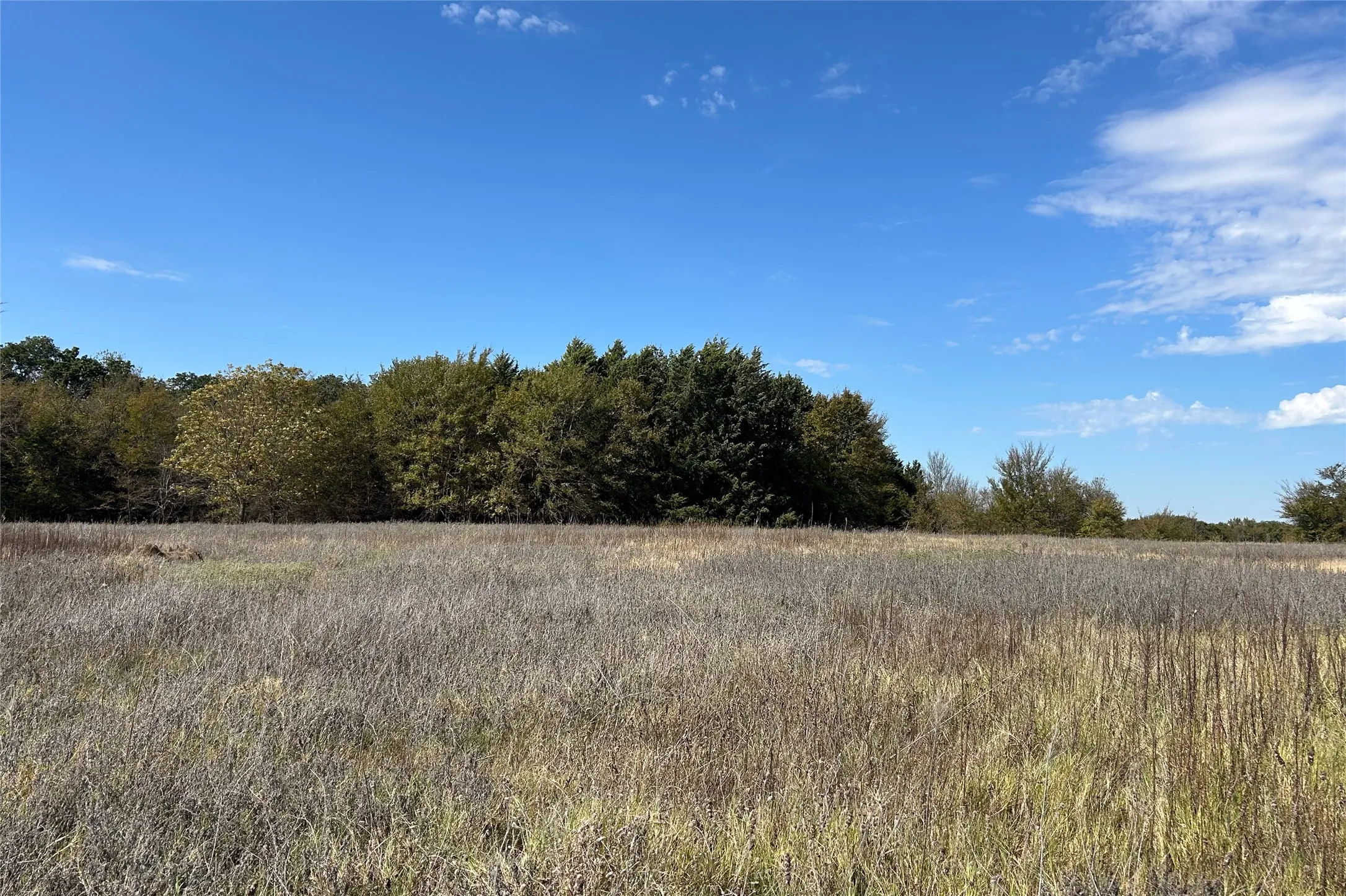 Ranch For Sale in Cooke County , TBD8 County Road 141, Callisburg, Texas 76240, 0, 0, Garage spaces, 0 Sqft, built in 0, mls#21387324, Real Estate Agent in Callisburg, Homes For Sale in Cooke county, Homes For Sale in Callisburg, Realtor in Callisburg Texas, Real Estate Brokerage Independent Realty Texas, Luminita Cordes Realtor