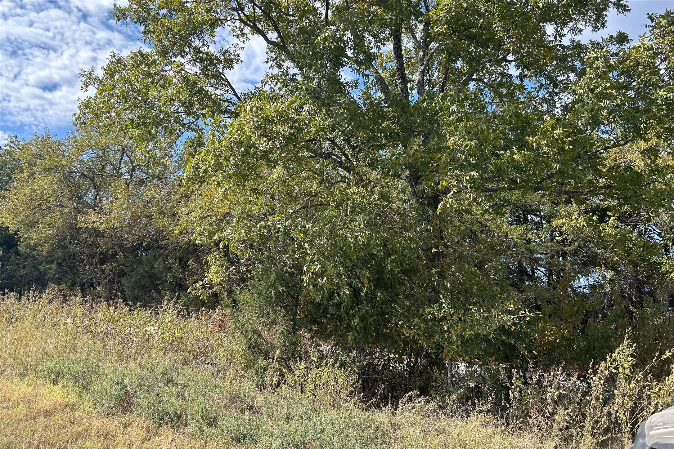 Ranch For Sale in Cooke County , TBD8 County Road 141, Callisburg, Texas 76240, 0, 0, Garage spaces, 0 Sqft, built in 0, mls#21387324, Real Estate Agent in Callisburg, Homes For Sale in Cooke county, Homes For Sale in Callisburg, Realtor in Callisburg Texas, Real Estate Brokerage Independent Realty Texas, Luminita Cordes Realtor
