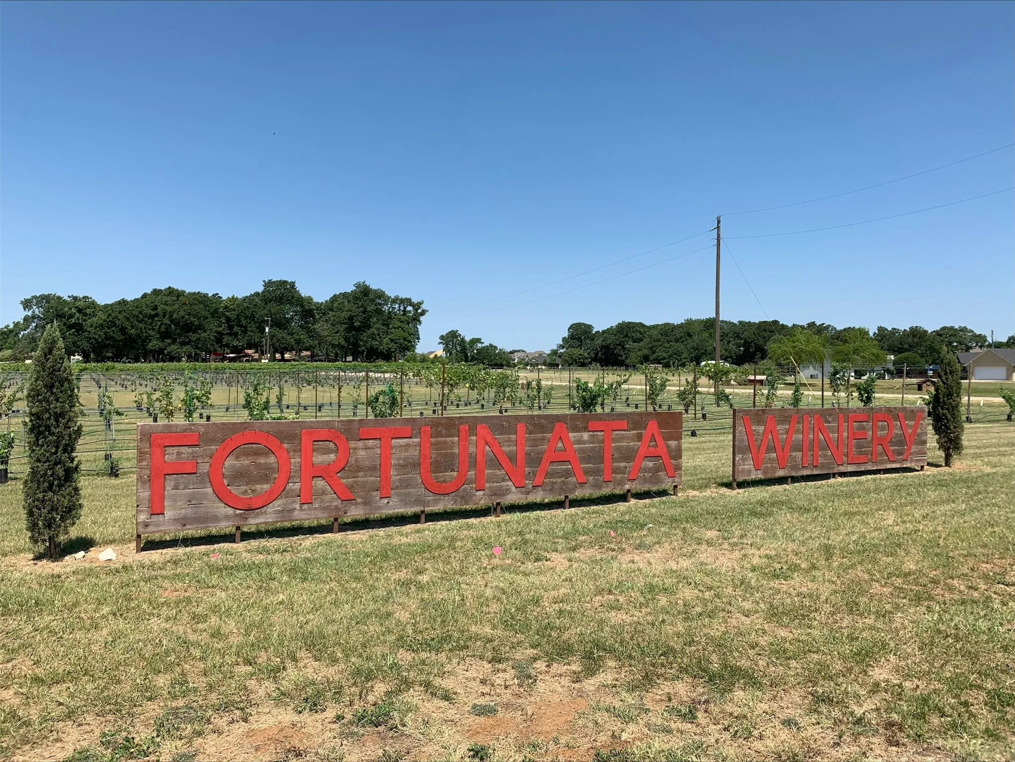 Single Family Residence For Sale in Collin County , 220 West Haymaker Road, Celina, Texas 75009, 4 Bedroom, 3 Bathroom, 2 Garage spaces, 2,680 Sqft, built in 2026, mls#21381279, Real Estate Agent in Celina, Homes For Sale in Collin county, Homes For Sale in Celina, Realtor in Celina Texas, Real Estate Brokerage Independent Realty Texas, Luminita Cordes Realtor