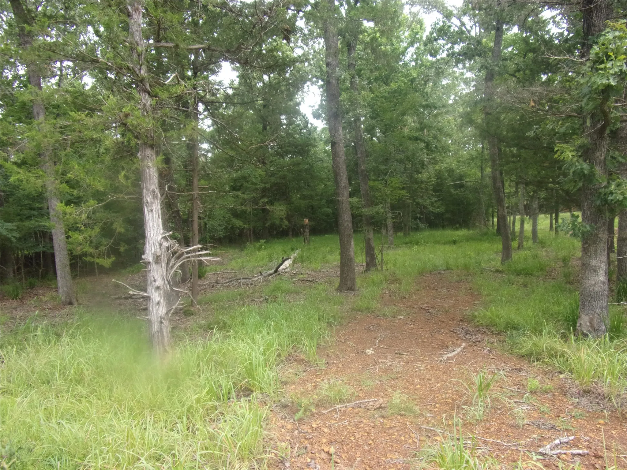 view of lot with driveway entering the lot