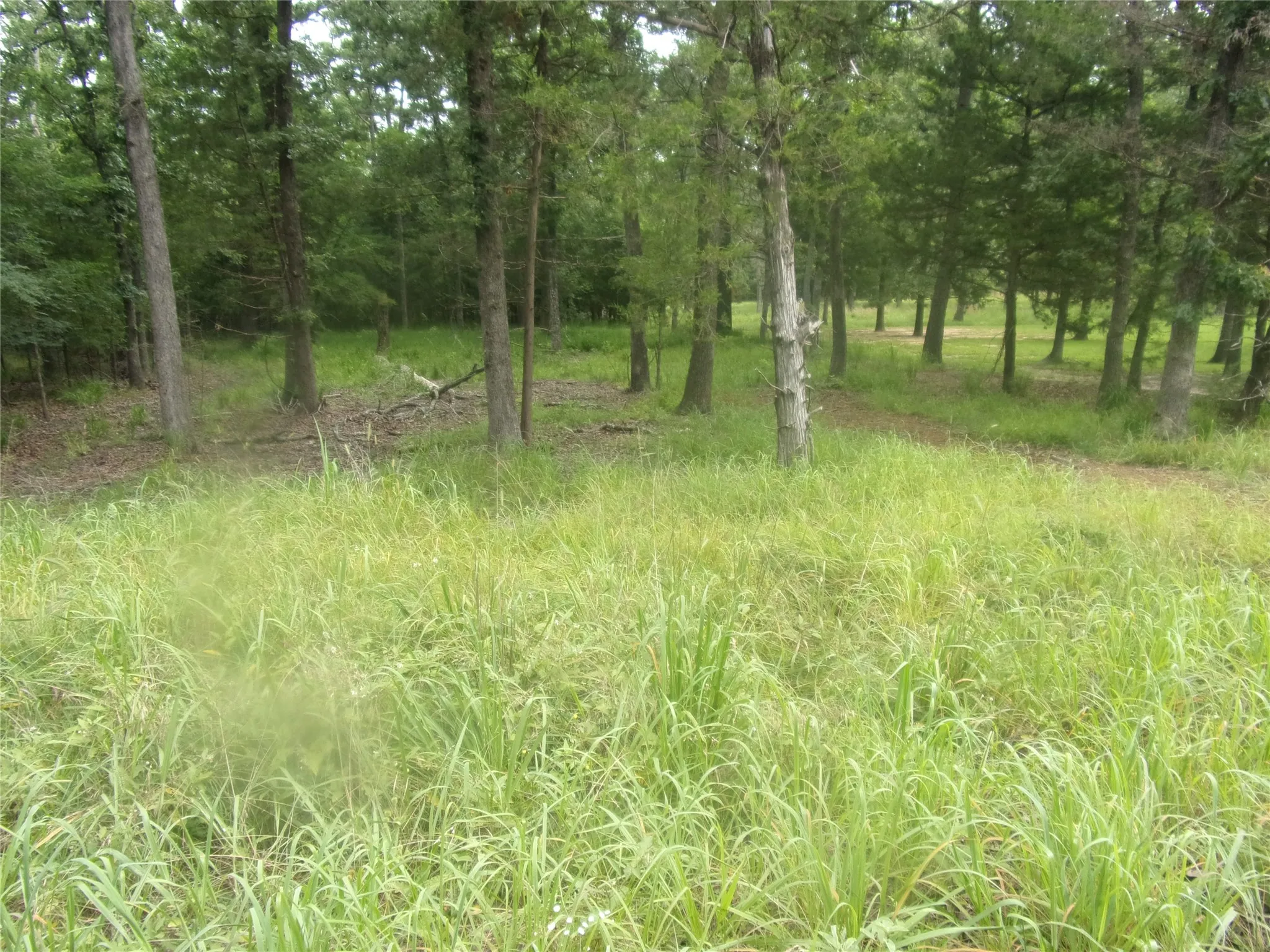 Unimproved Land For Sale in Van Zandt County , 944 Whipporwill, Murchison, Texas 75778, 0, 0, Garage spaces, 0 Sqft, built in 0, mls#21387289, Real Estate Agent in Murchison, Homes For Sale in Van Zandt county, Homes For Sale in Murchison, Realtor in Murchison Texas, Real Estate Brokerage Independent Realty Texas, Luminita Cordes Realtor