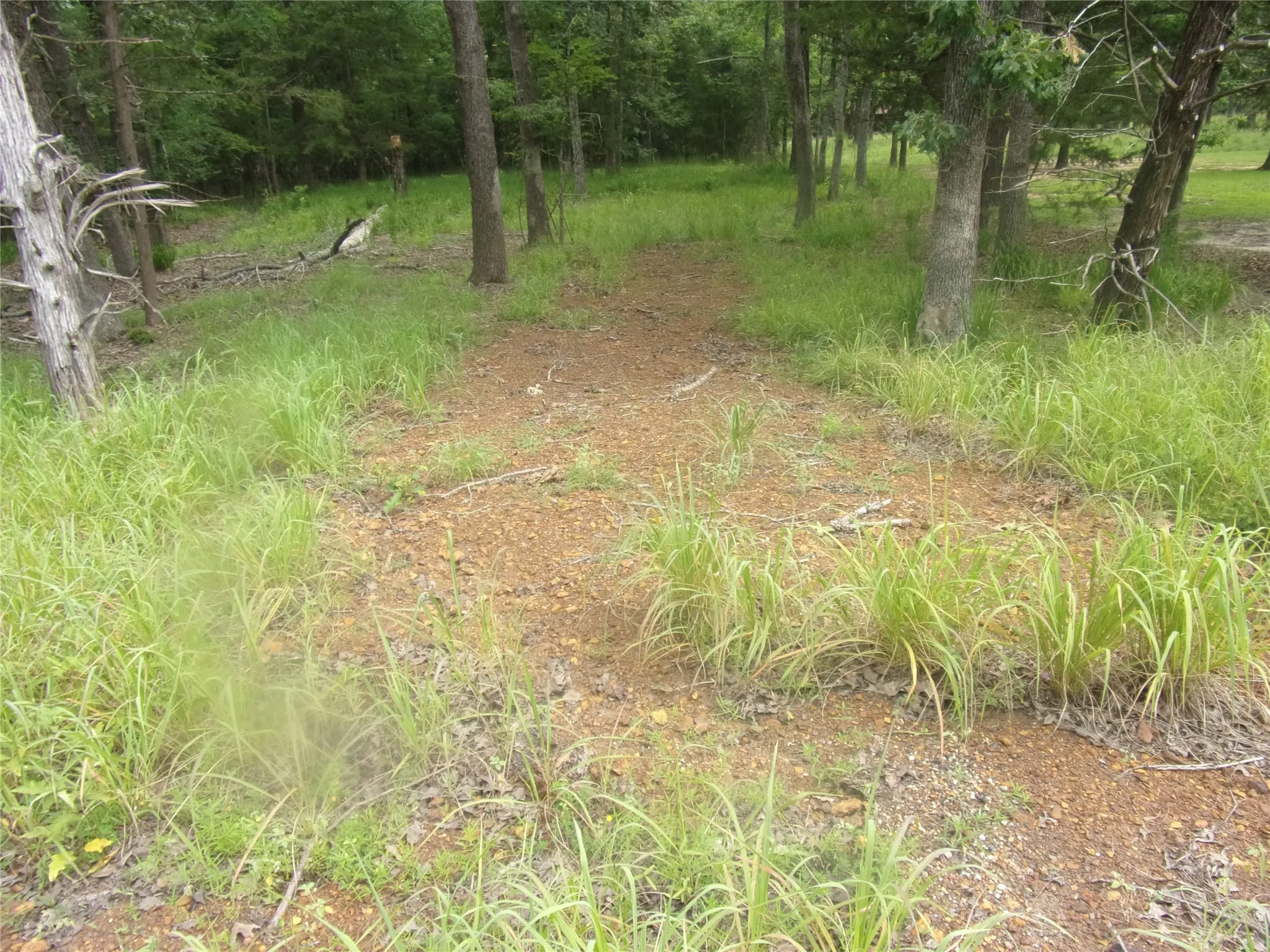 another view of the nice level lot