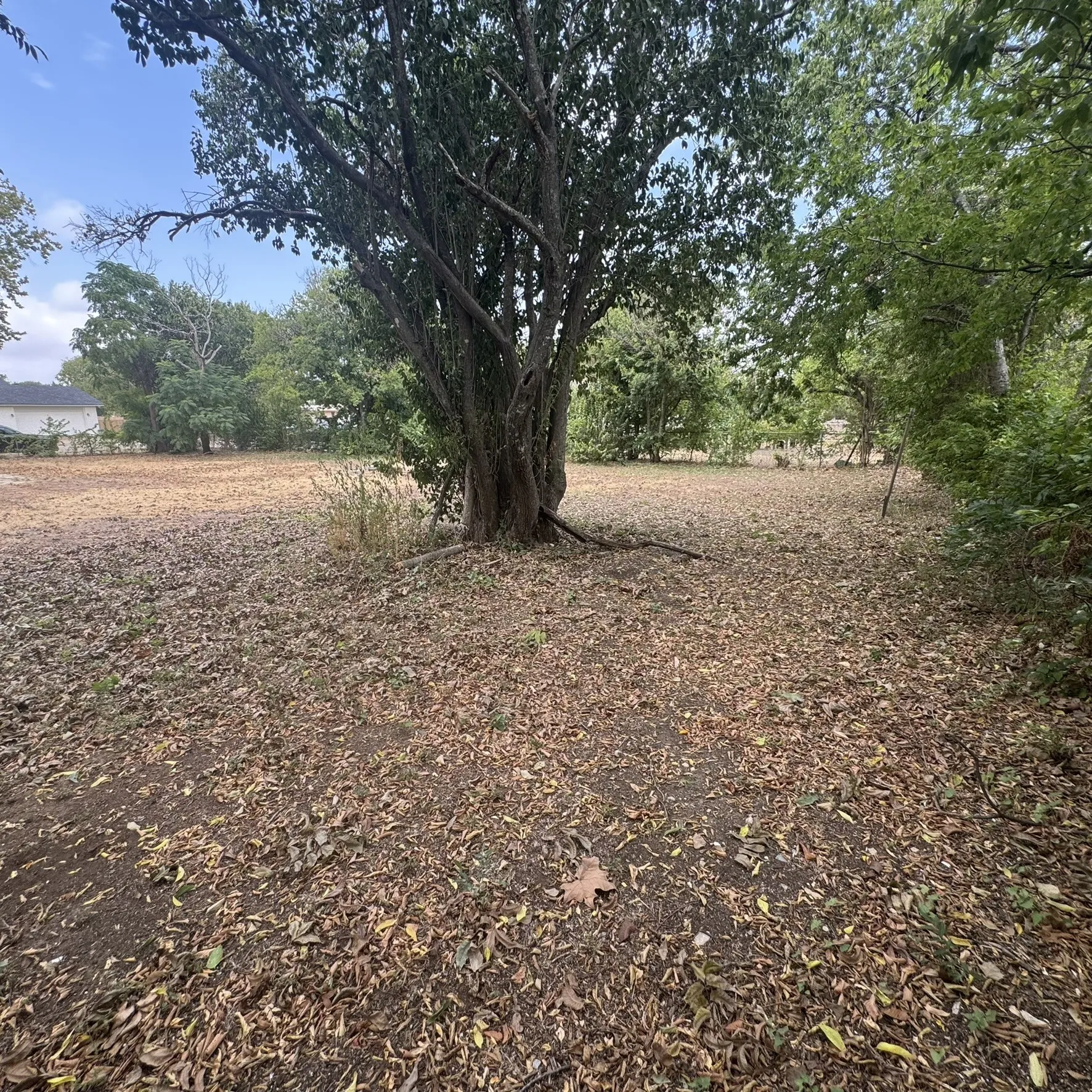 Single Family Residence For Sale in Mc Lennan County , 314 Arthur Street, Mc Gregor, Texas 76657, 2 Bedroom, 1 Bathroom, Garage spaces, 812 Sqft, built in 1950, mls#21385357, Real Estate Agent in Mc Gregor, Homes For Sale in Mc Lennan county, Homes For Sale in Mc Gregor, Realtor in Mc Gregor Texas, Real Estate Brokerage Independent Realty Texas, Luminita Cordes Realtor