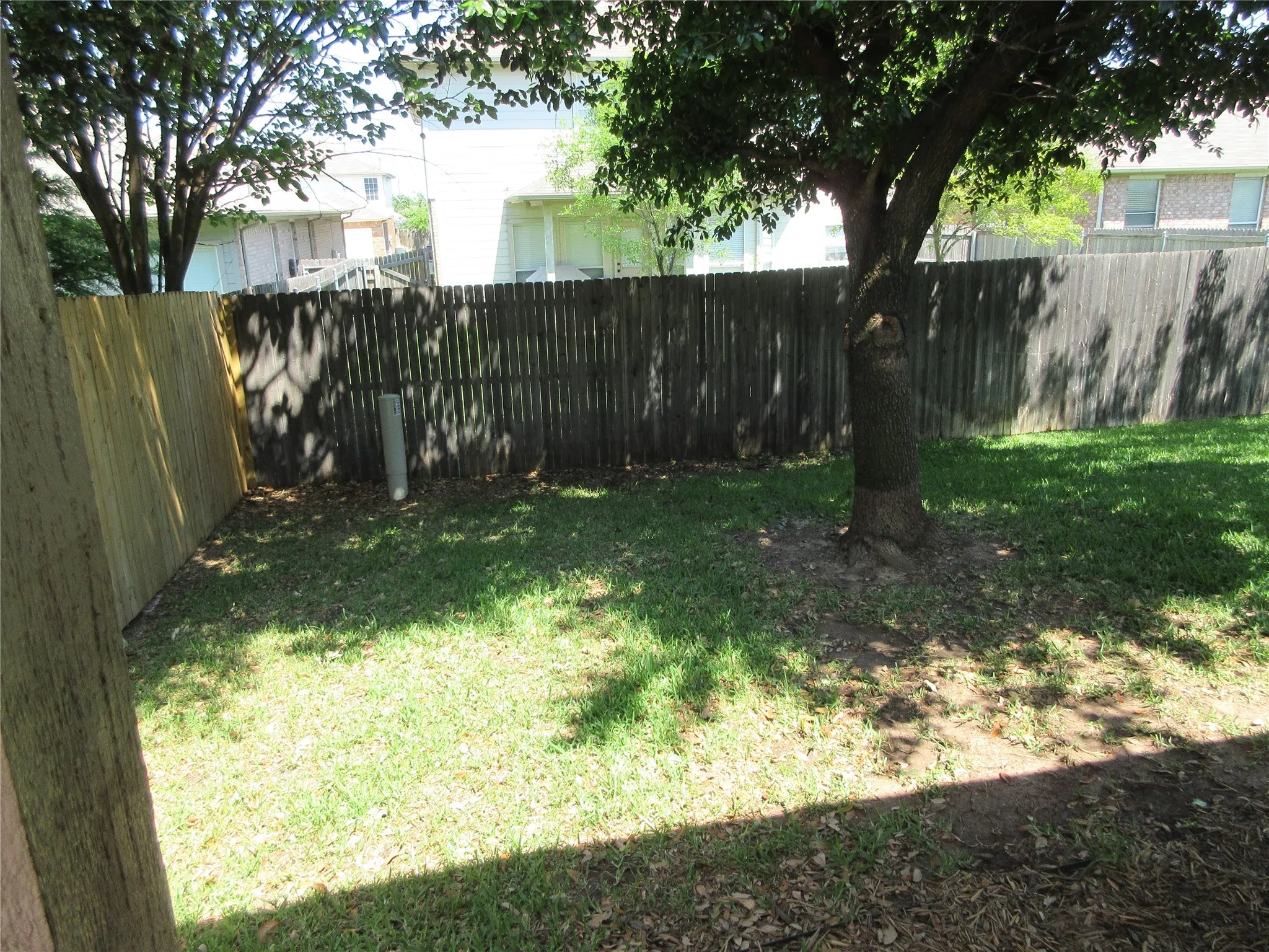 PRIVACY FENCE  AND A TREE OR TWO