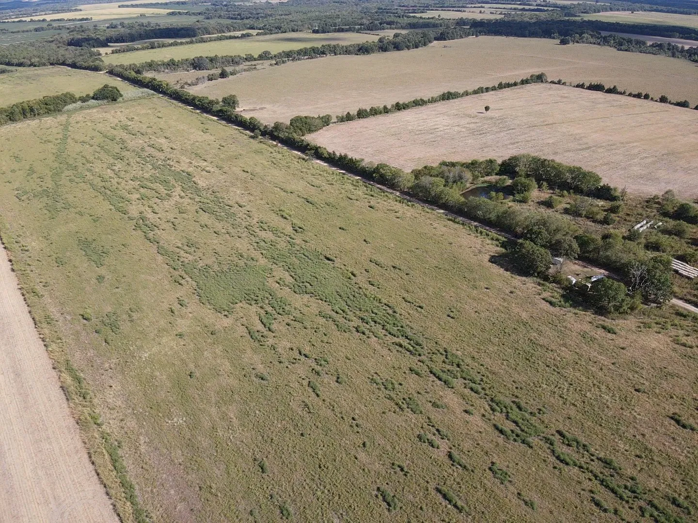 Unimproved Land For Sale in Red River (TX) County , 000 Lot 2 CR 4116, Clarksville, Texas 75426, 0, 0, Garage spaces, 0 Sqft, built in 0, mls#21387386, Real Estate Agent in Clarksville, Homes For Sale in Red River (TX) county, Homes For Sale in Clarksville, Realtor in Clarksville Texas, Real Estate Brokerage Independent Realty Texas, Luminita Cordes Realtor