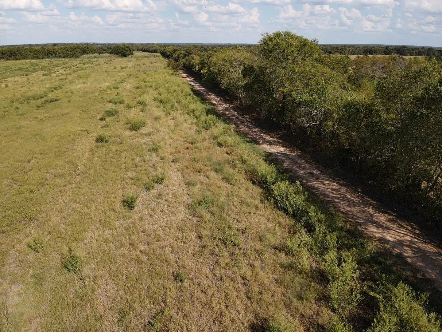 Unimproved Land For Sale in Red River (TX) County , 000 Lot 2 CR 4116, Clarksville, Texas 75426, 0, 0, Garage spaces, 0 Sqft, built in 0, mls#21387386, Real Estate Agent in Clarksville, Homes For Sale in Red River (TX) county, Homes For Sale in Clarksville, Realtor in Clarksville Texas, Real Estate Brokerage Independent Realty Texas, Luminita Cordes Realtor