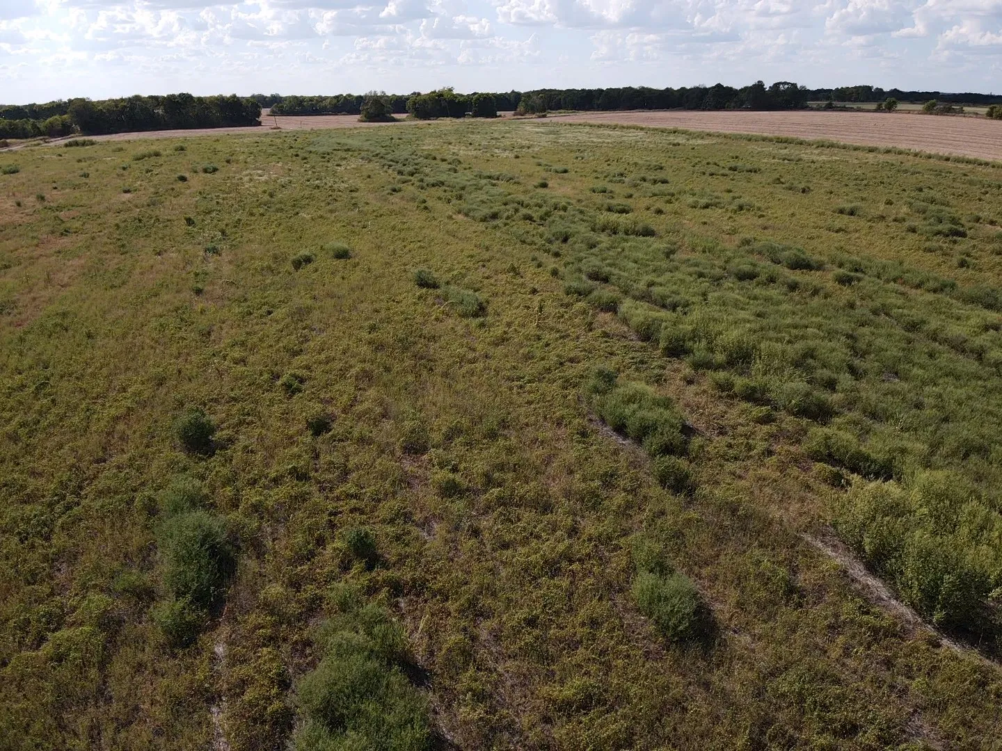 Unimproved Land For Sale in Red River (TX) County , 000 Lot 2 CR 4116, Clarksville, Texas 75426, 0, 0, Garage spaces, 0 Sqft, built in 0, mls#21387386, Real Estate Agent in Clarksville, Homes For Sale in Red River (TX) county, Homes For Sale in Clarksville, Realtor in Clarksville Texas, Real Estate Brokerage Independent Realty Texas, Luminita Cordes Realtor