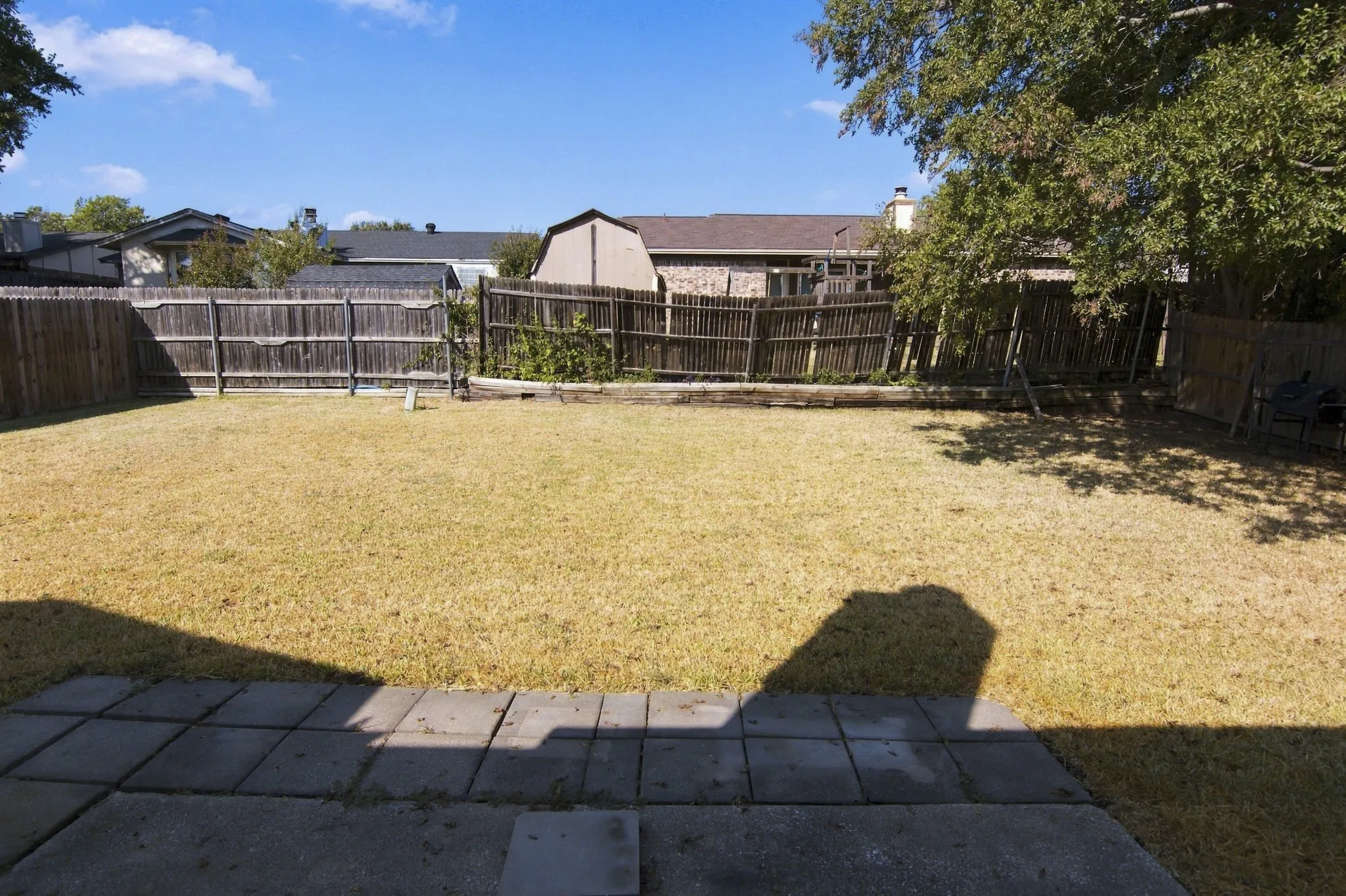 Large Backyard