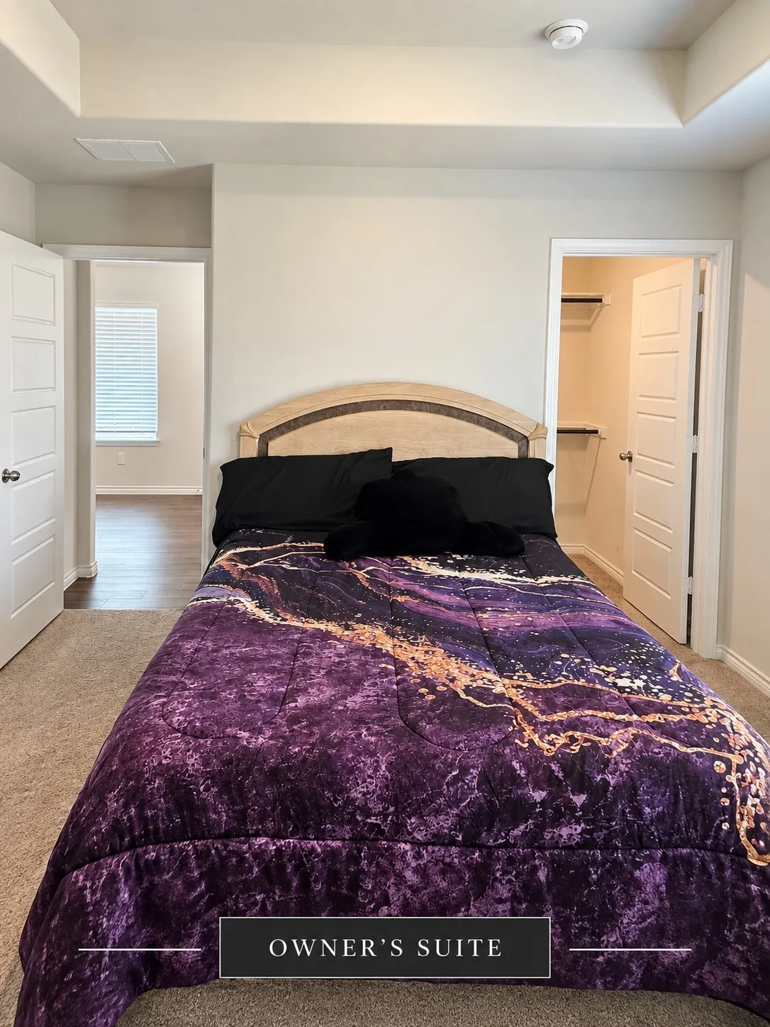 Tray ceiling detail, neutral wall tones, carpeted flooring, and a walk-in closet with shelving