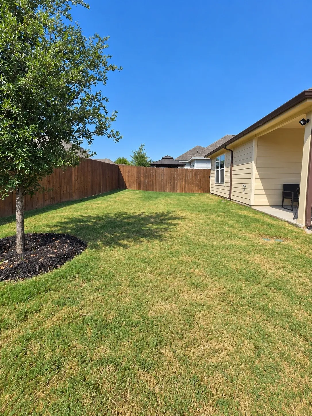 Expansive backyard featuring a manicured lawn, a young tree with mulch, and a wood privacy fence