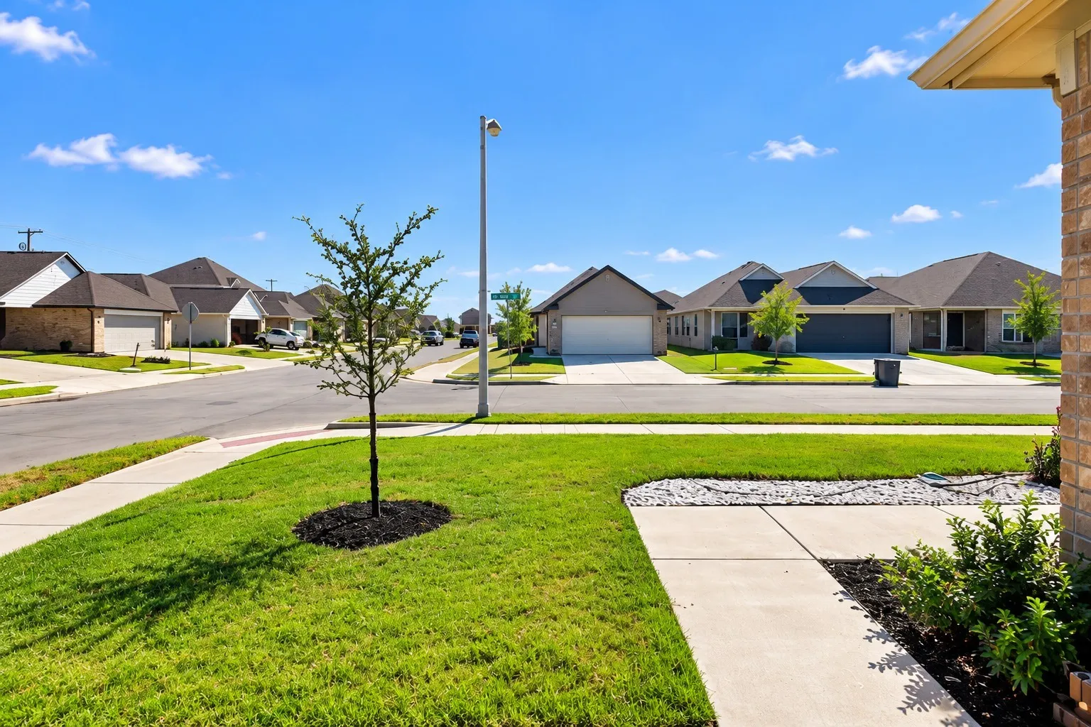Manicured lawn with a young tree, concrete sidewalk, and landscape rock detailing