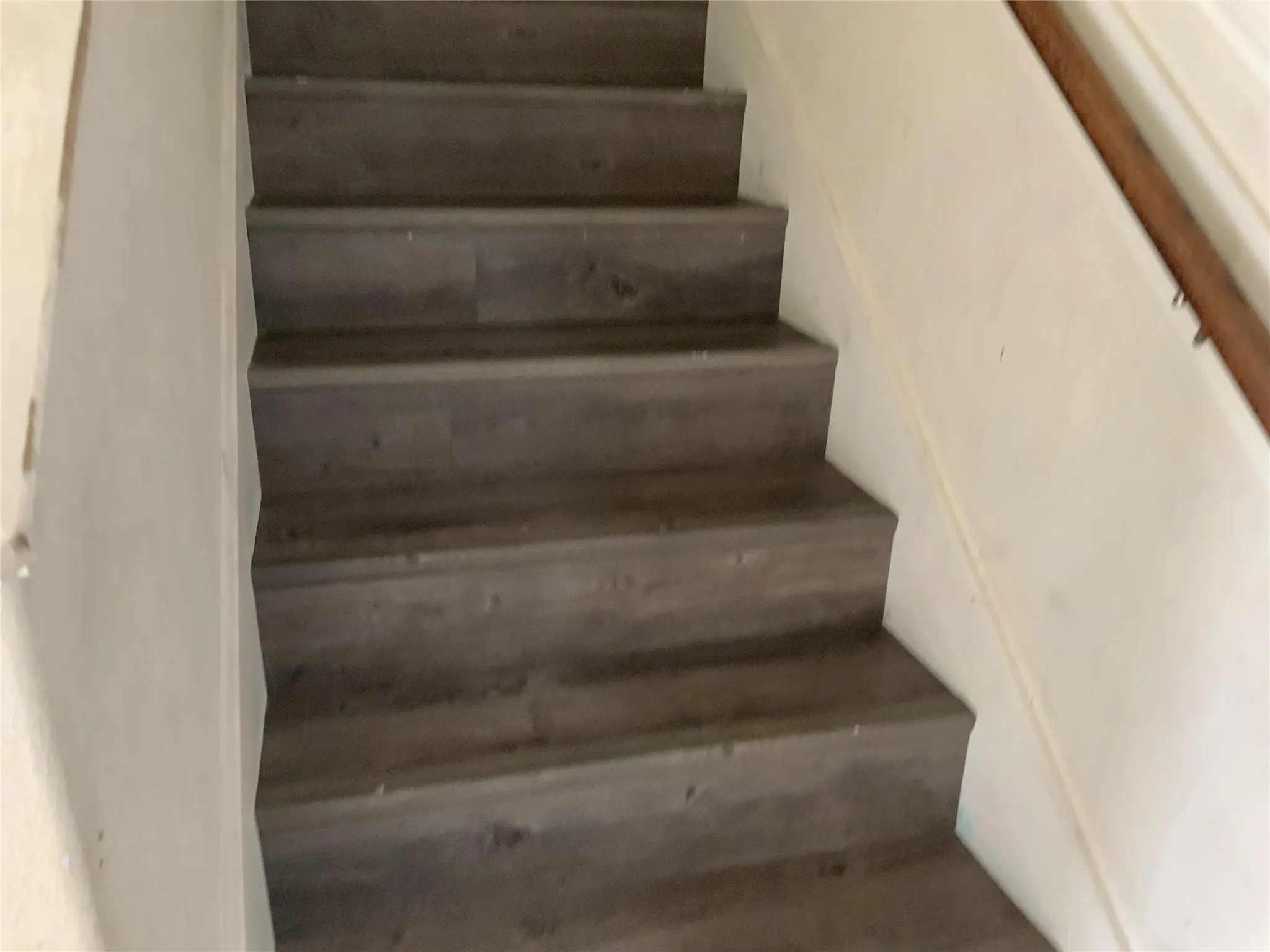 Staircase featuring wood-finish treads and risers, and a wood handrail