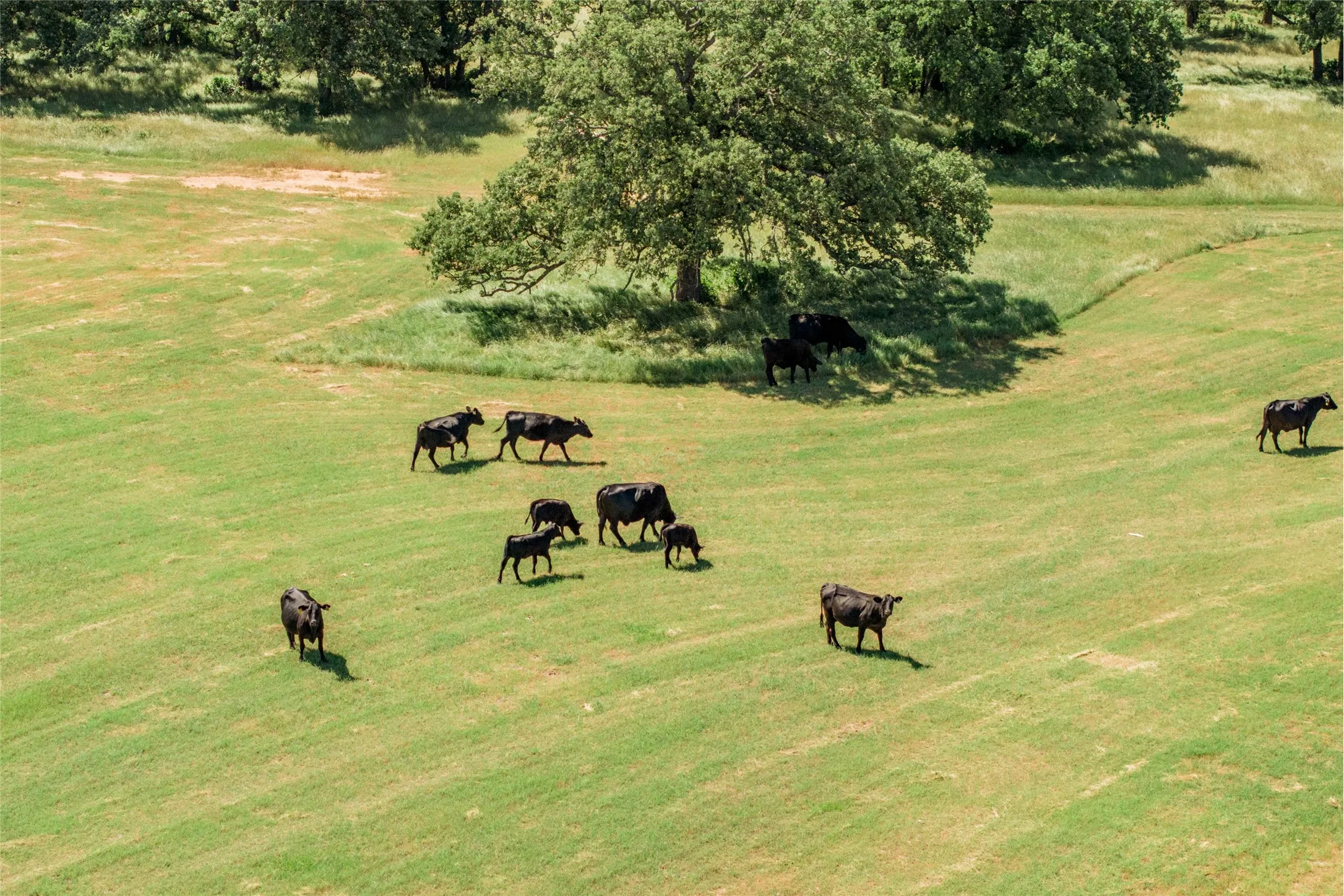 Unimproved Land For Sale in Denton County , 5200 Cross Timbers Road, Flower Mound, Texas 75022, 0, 0, Garage spaces, 0 Sqft, built in 0, mls#21386224, Real Estate Agent in Flower Mound, Homes For Sale in Denton county, Homes For Sale in Flower Mound, Realtor in Flower Mound Texas, Real Estate Brokerage Independent Realty Texas, Luminita Cordes Realtor