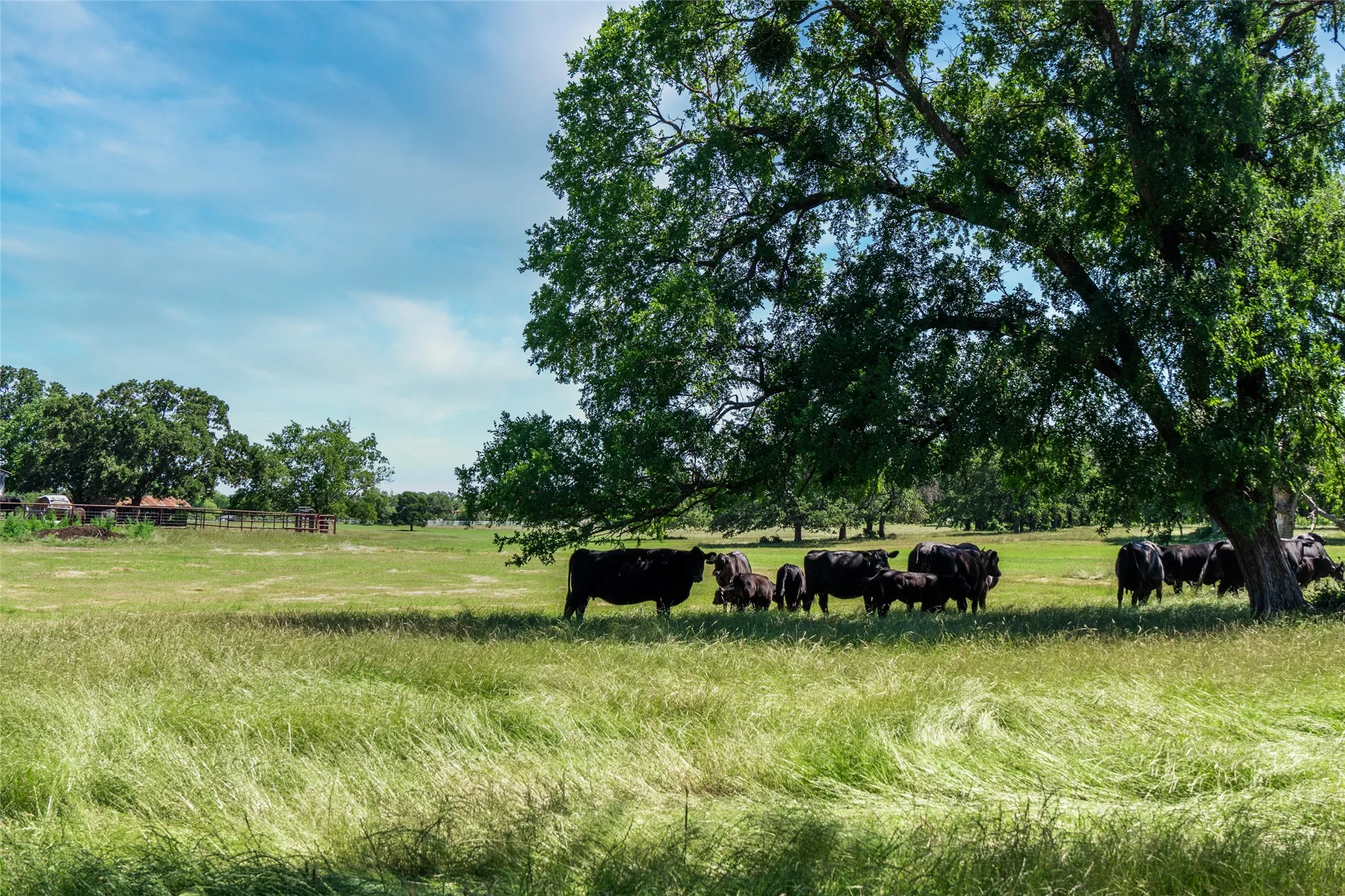 Unimproved Land For Sale in Denton County , 5200 Cross Timbers Road, Flower Mound, Texas 75022, 0, 0, Garage spaces, 0 Sqft, built in 0, mls#21386224, Real Estate Agent in Flower Mound, Homes For Sale in Denton county, Homes For Sale in Flower Mound, Realtor in Flower Mound Texas, Real Estate Brokerage Independent Realty Texas, Luminita Cordes Realtor