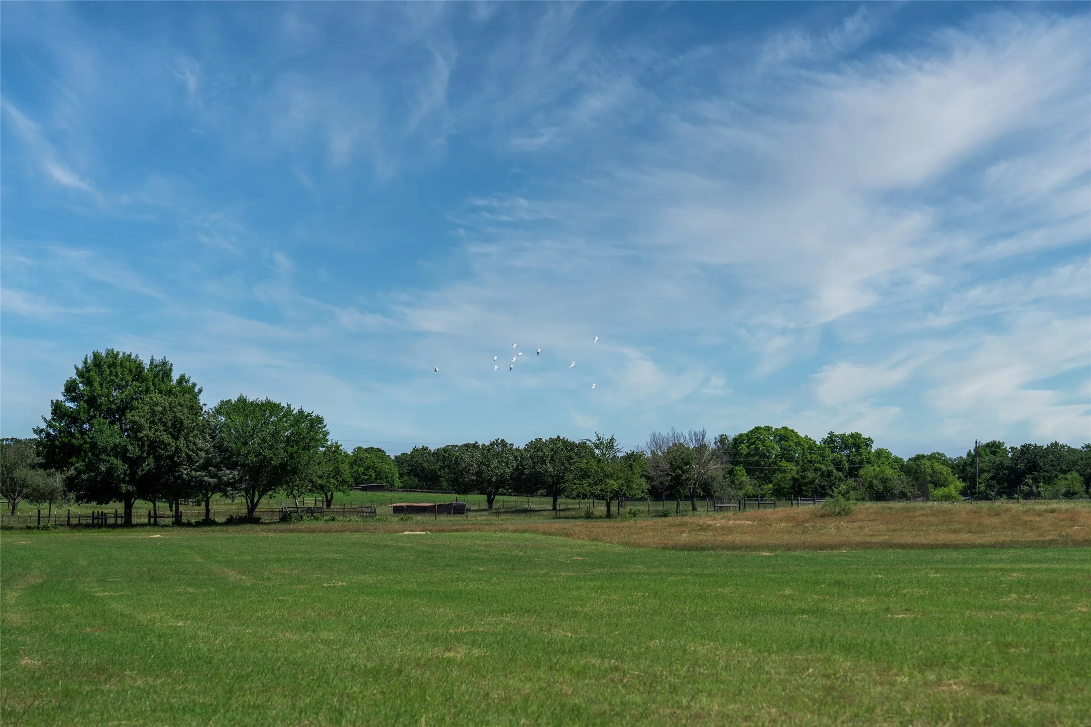 Unimproved Land For Sale in Denton County , 5200 Cross Timbers Road, Flower Mound, Texas 75022, 0, 0, Garage spaces, 0 Sqft, built in 0, mls#21386224, Real Estate Agent in Flower Mound, Homes For Sale in Denton county, Homes For Sale in Flower Mound, Realtor in Flower Mound Texas, Real Estate Brokerage Independent Realty Texas, Luminita Cordes Realtor