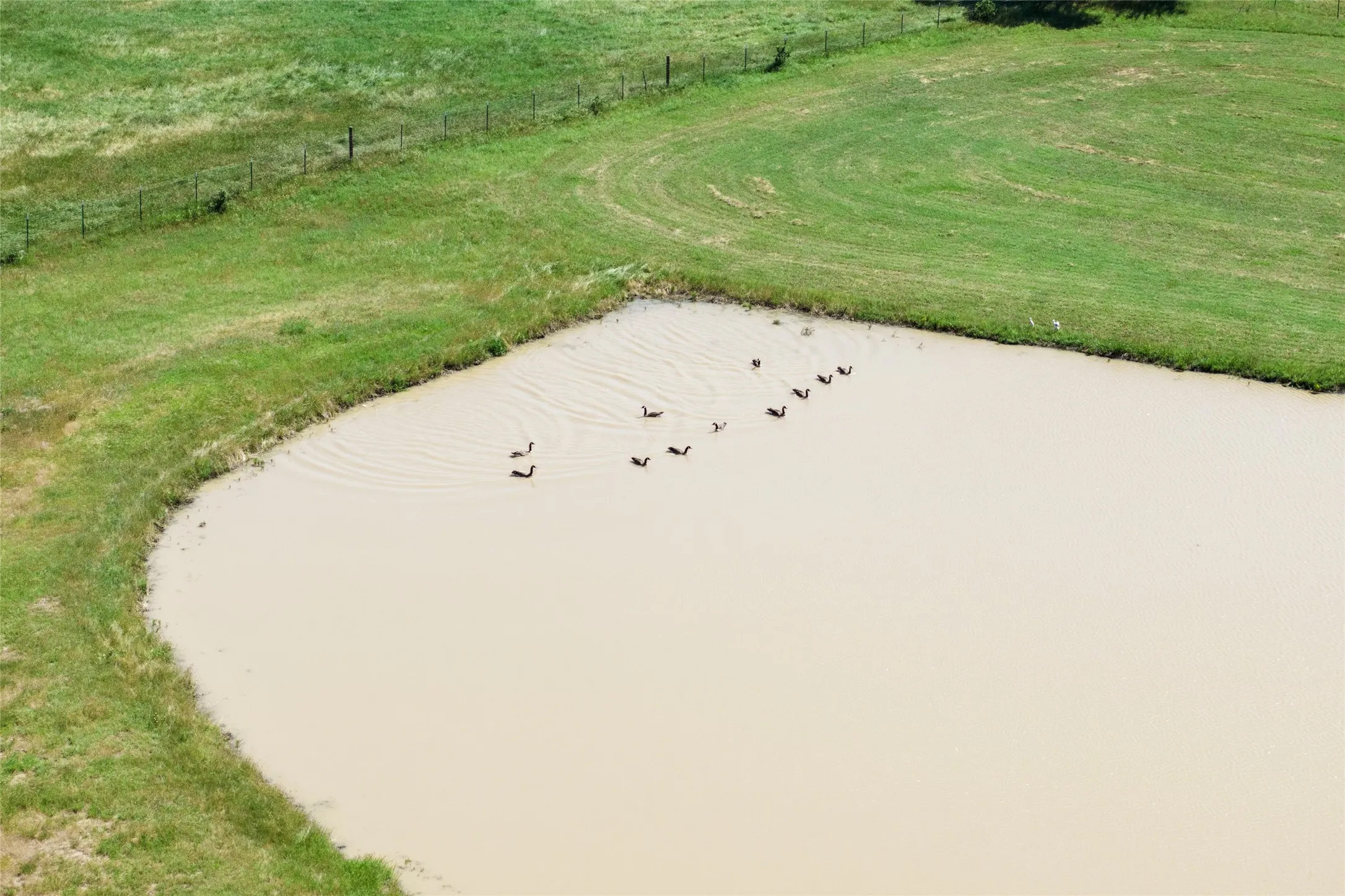 Unimproved Land For Sale in Denton County , 5200 Cross Timbers Road, Flower Mound, Texas 75022, 0, 0, Garage spaces, 0 Sqft, built in 0, mls#21386224, Real Estate Agent in Flower Mound, Homes For Sale in Denton county, Homes For Sale in Flower Mound, Realtor in Flower Mound Texas, Real Estate Brokerage Independent Realty Texas, Luminita Cordes Realtor